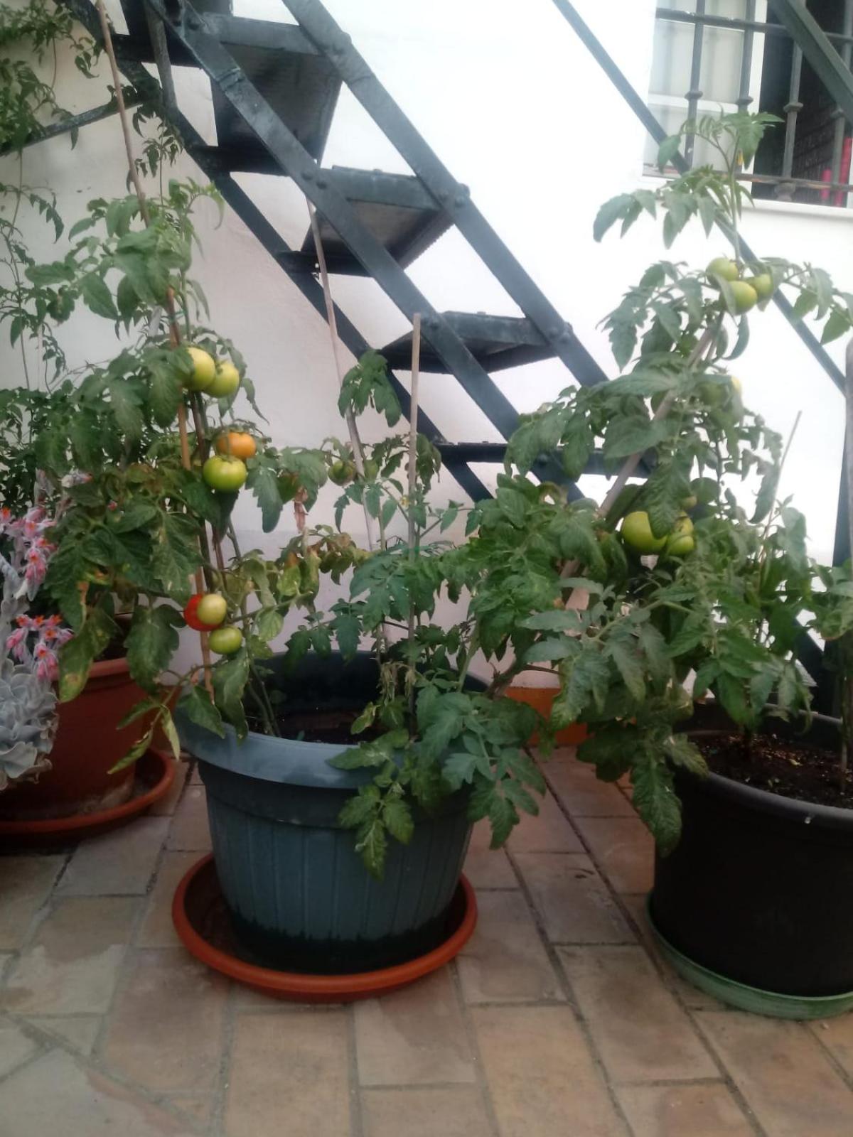 Photo 26