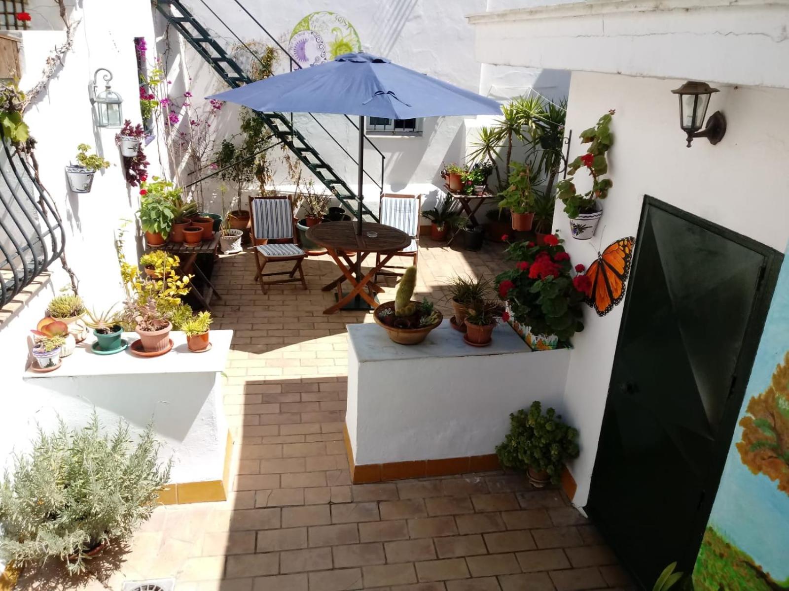 Photo 43
