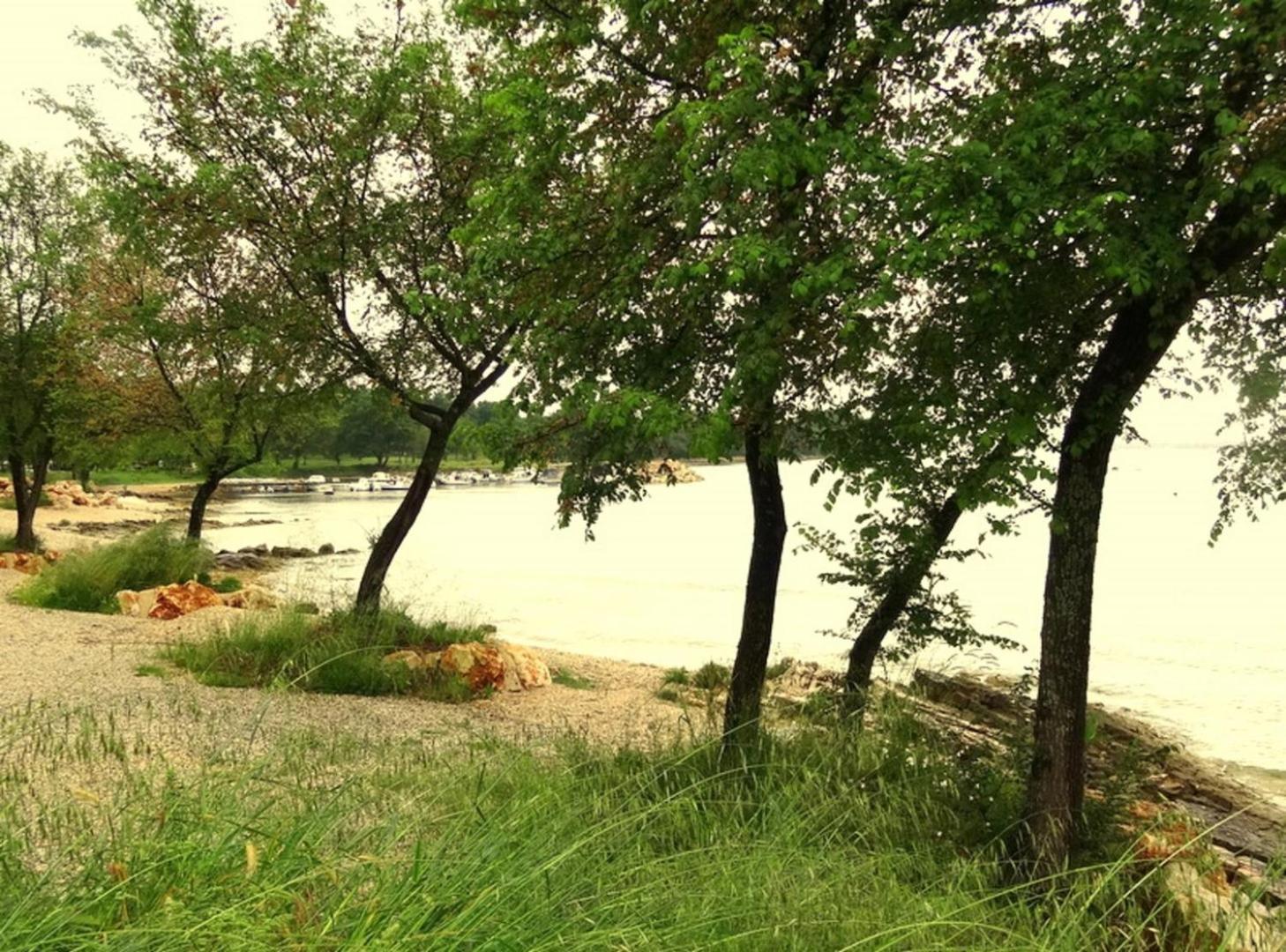 Photo 48