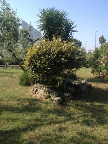 Photo 31