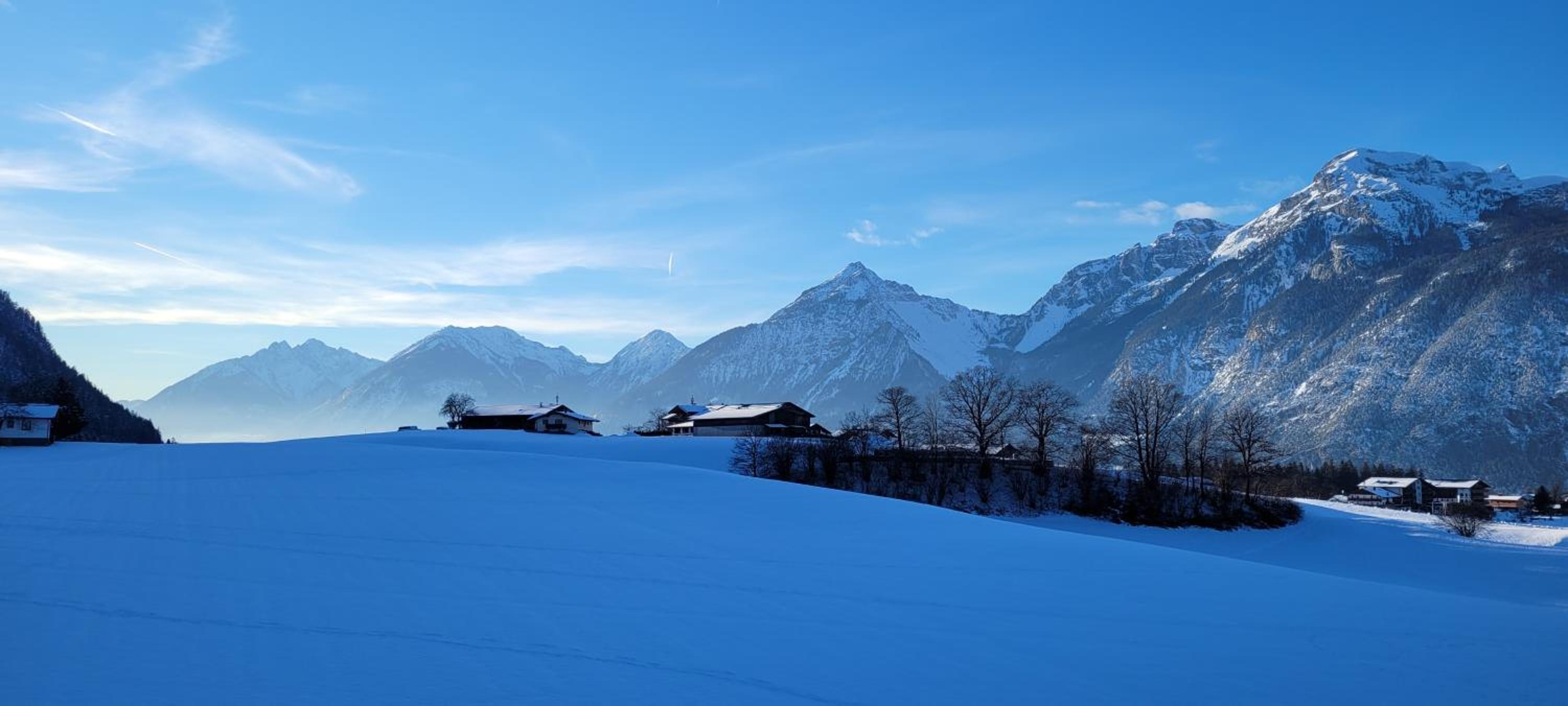 Photo 50