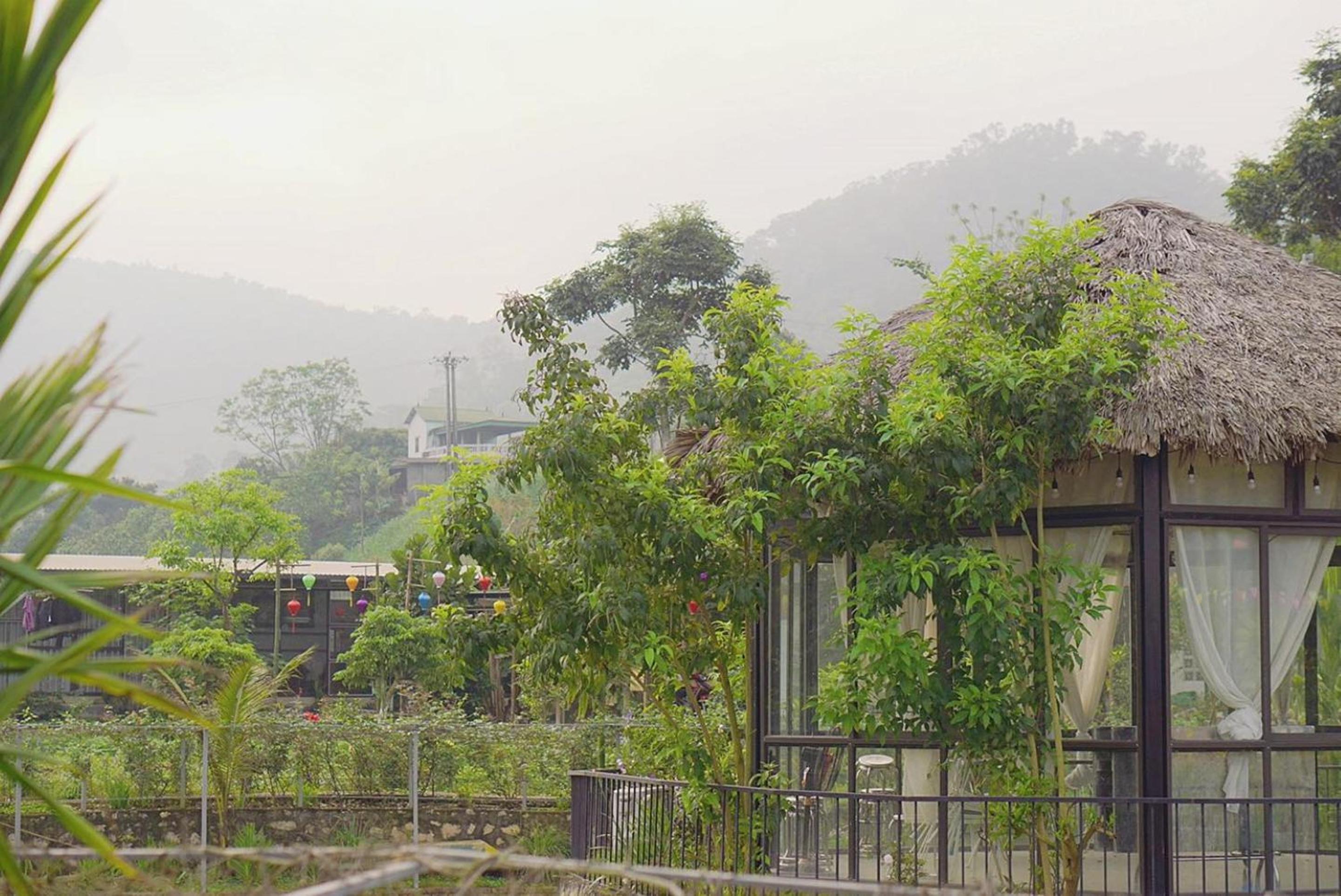 Gia Trinh Farmstay Ba Vi - Venuestay