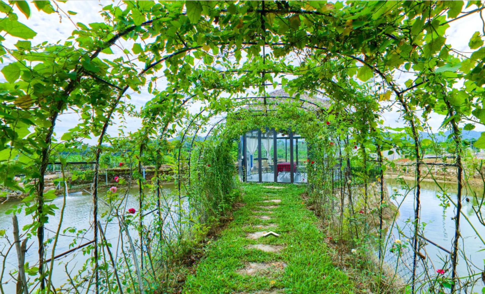 Gia Trinh Farmstay Ba Vi - Venuestay