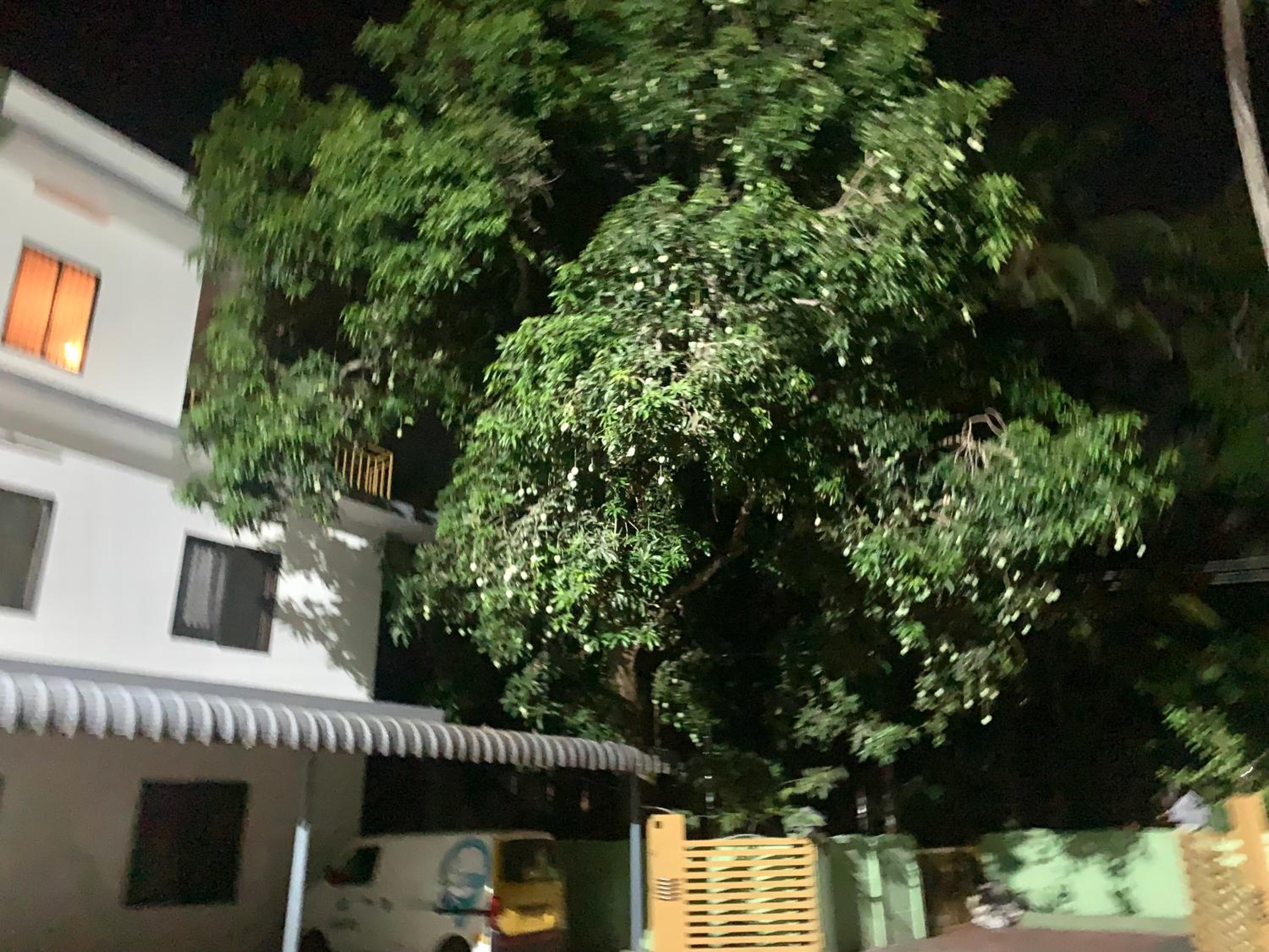 Airavatham Apartments, photo 20