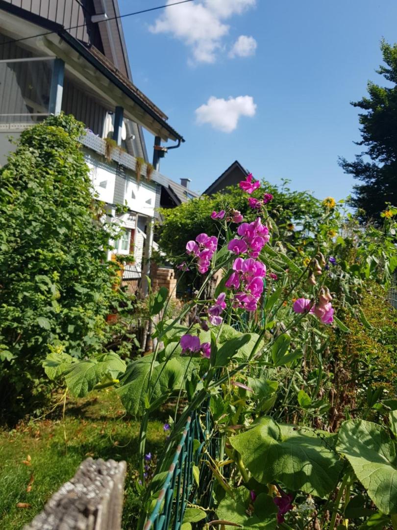 Schatz-Insel