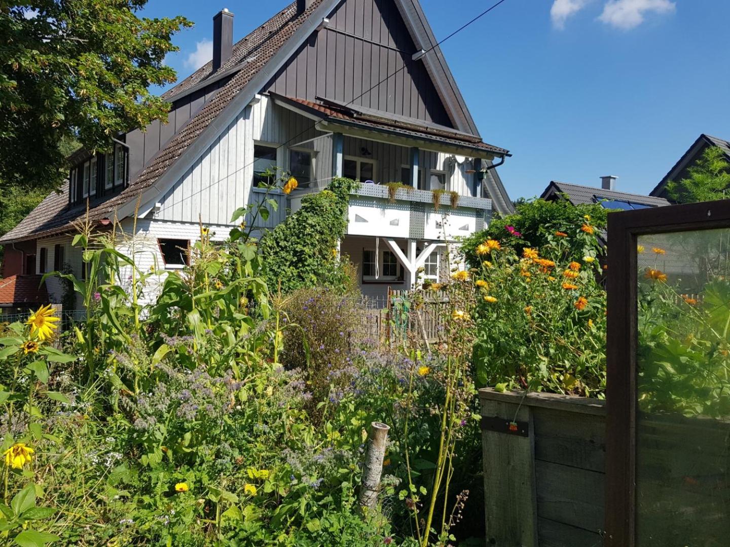 Schatz-Insel