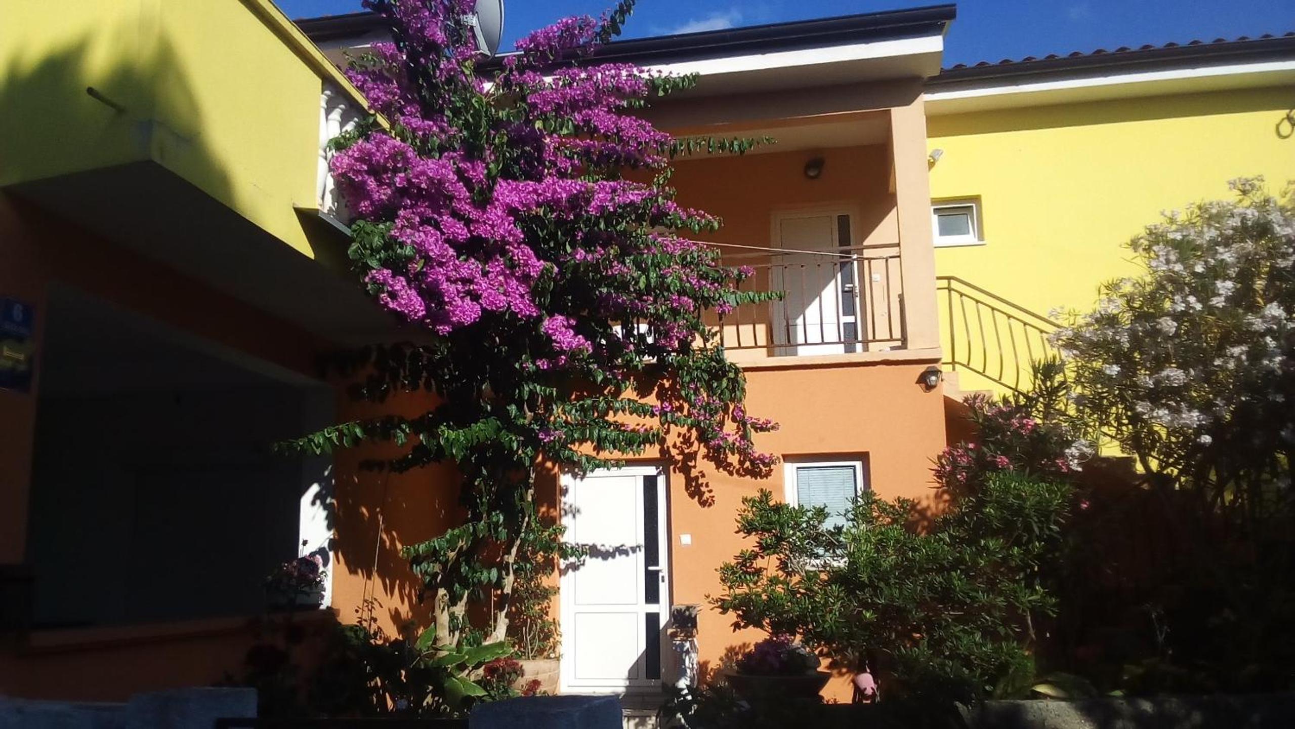 Apartments Mirjana view 2