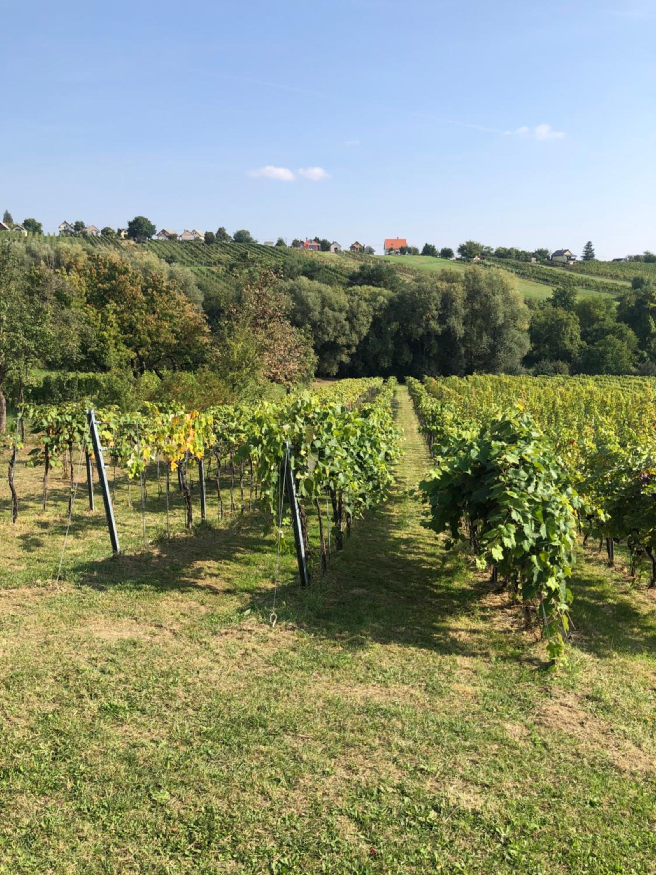 Wein Cottage Kellerstöckl