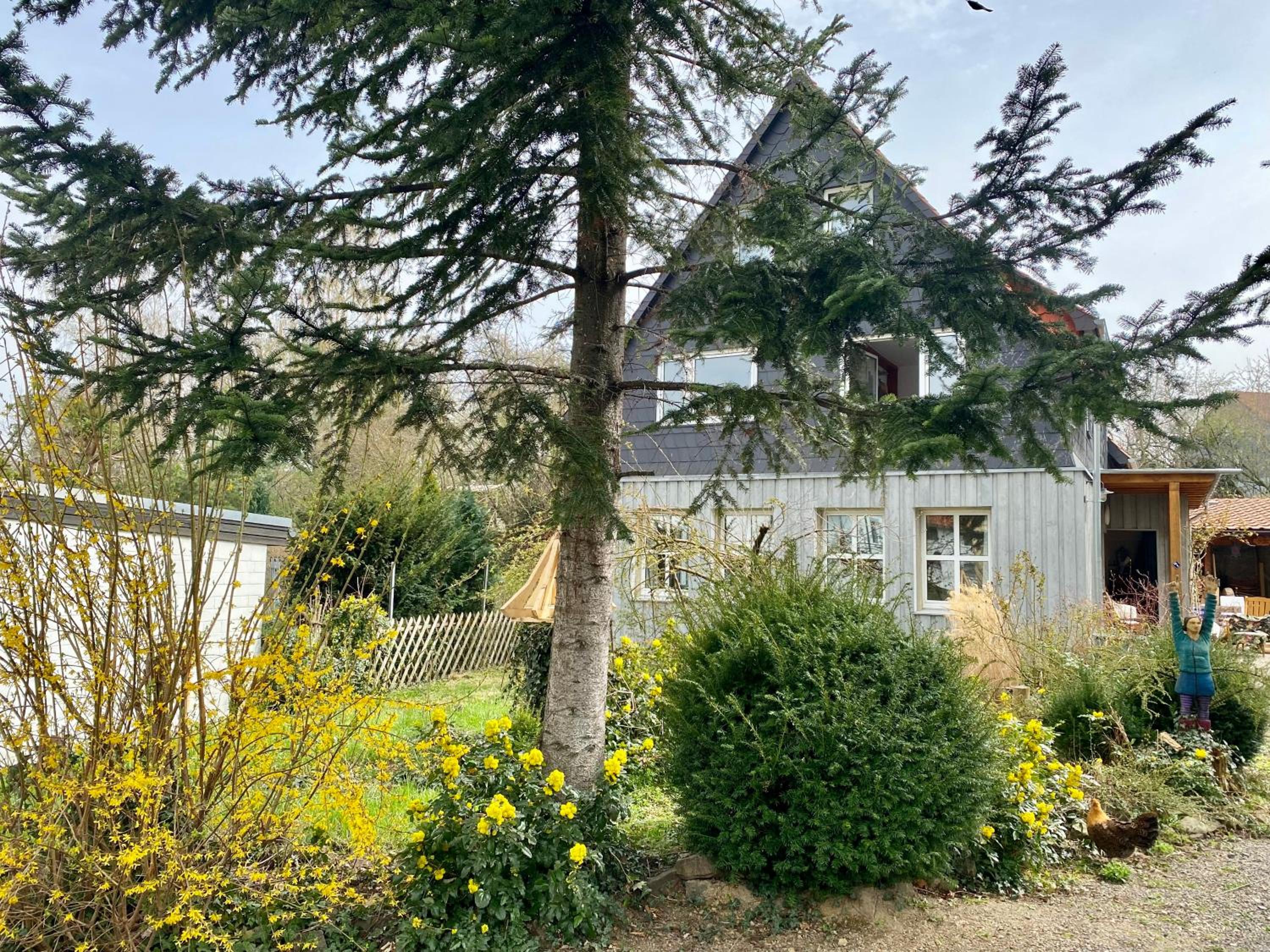 Gronocottage Harz