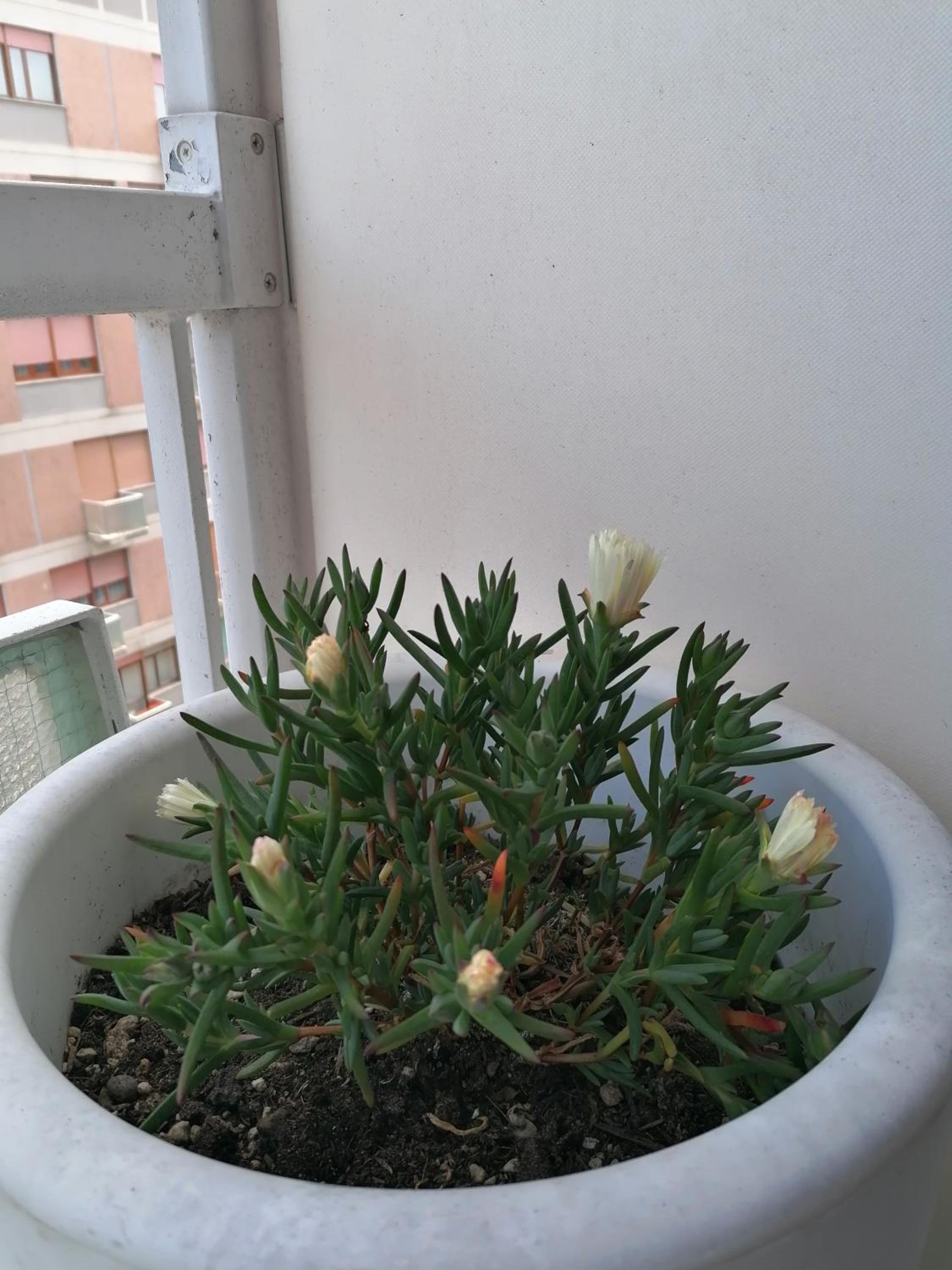 Photo 34