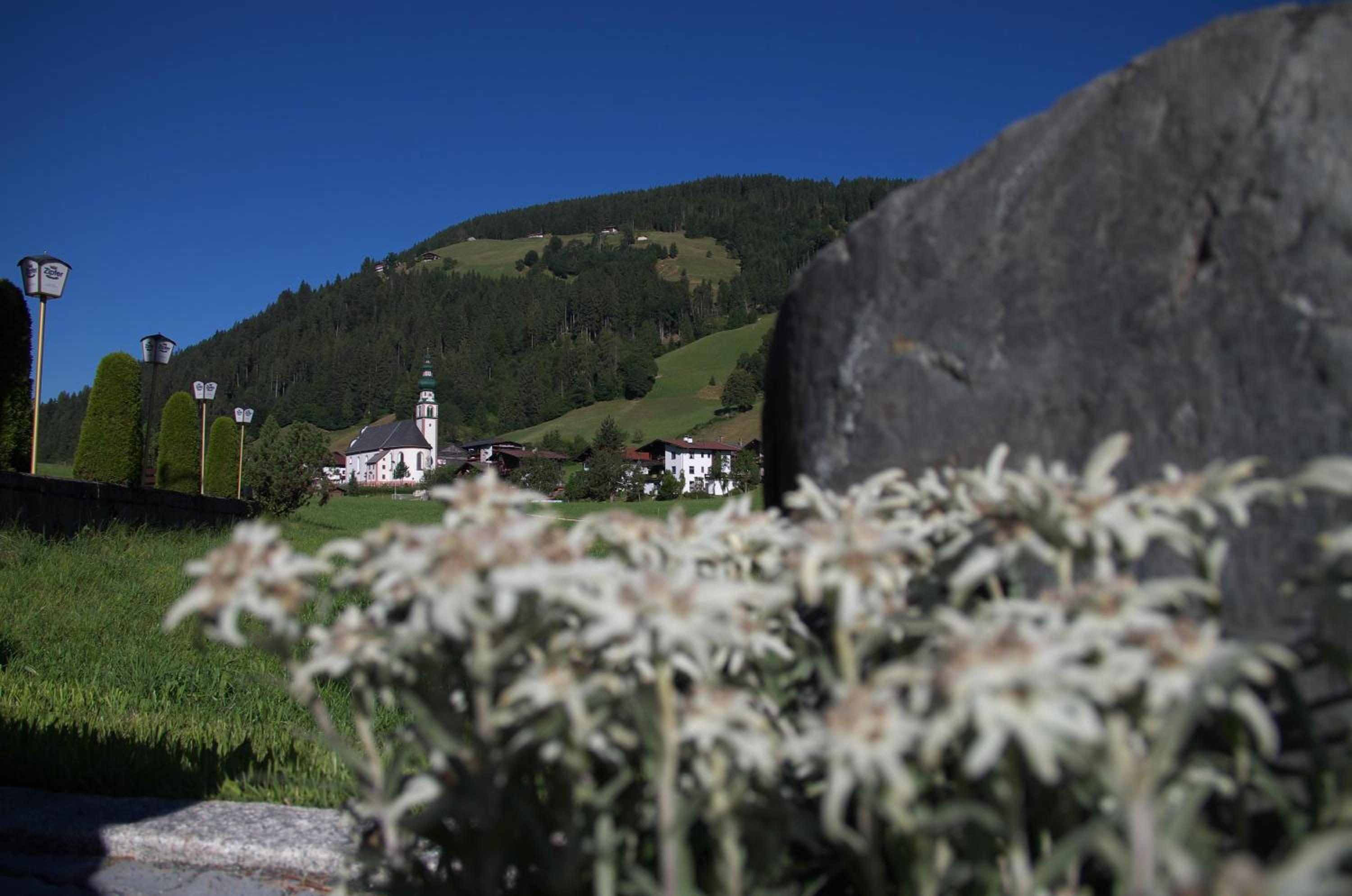 Pension Schneerose