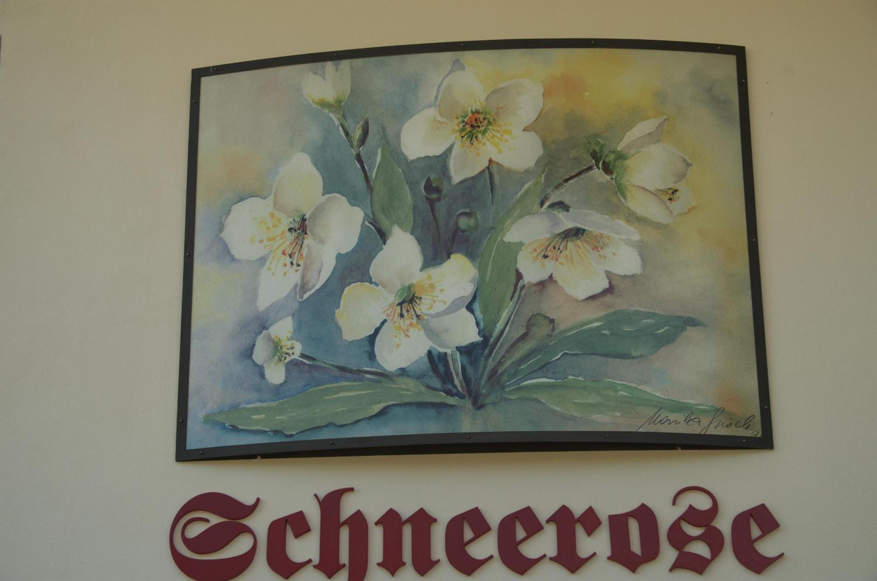 Pension Schneerose