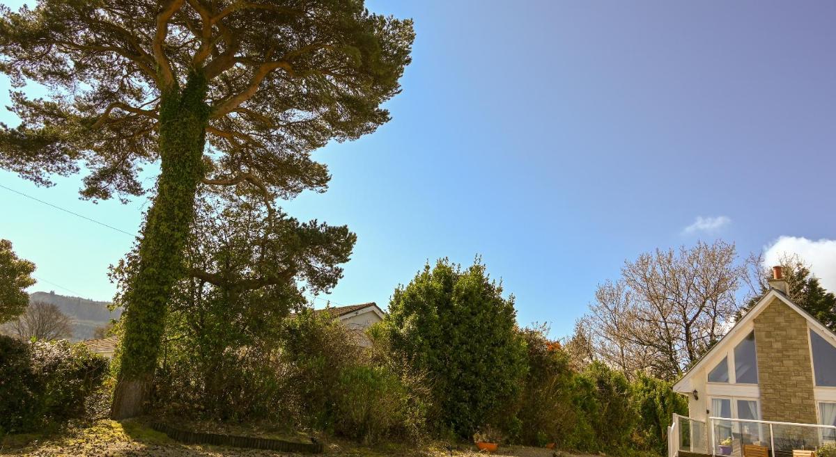 Photo 18