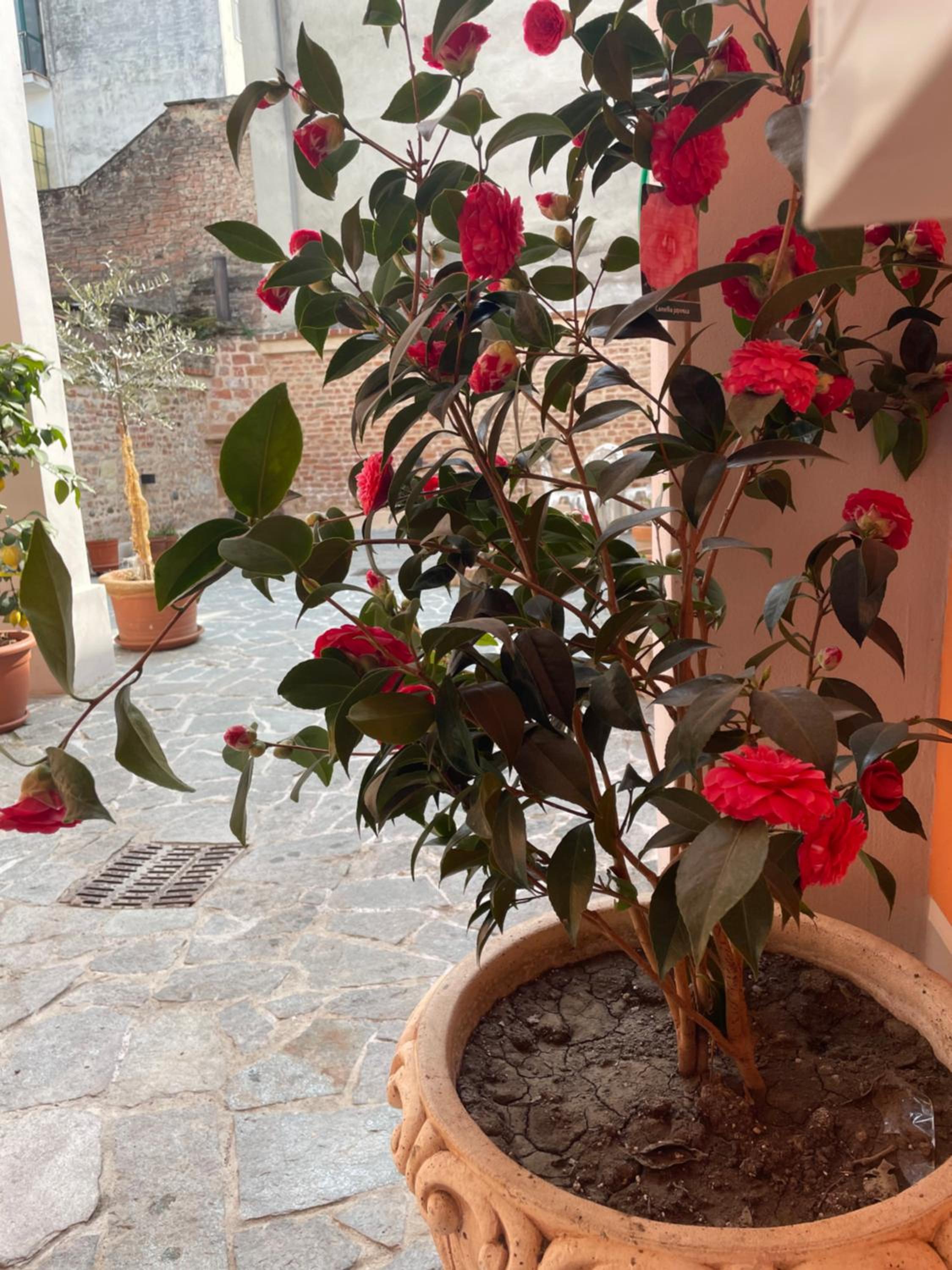 Residenza Nikol view 3