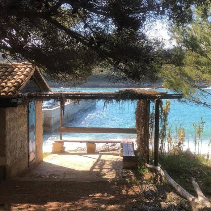 Apartment Two Olives, Free Parking, Close to Beaches & Park view 2