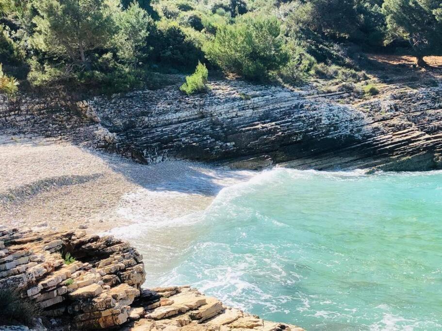 Apartment Two Olives, Free Parking, Close to Beaches & Park view 3