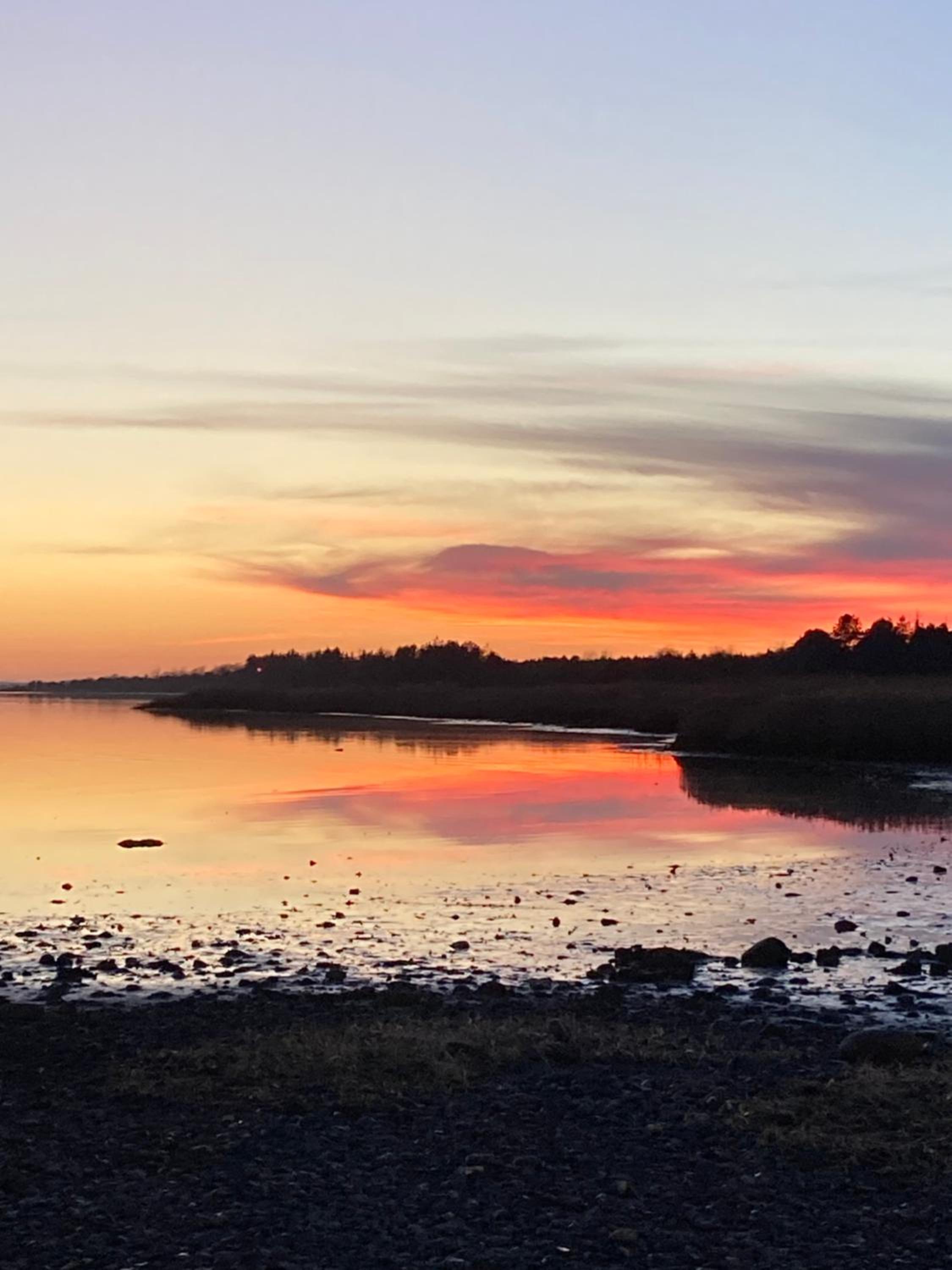 Det blågrønne Hus