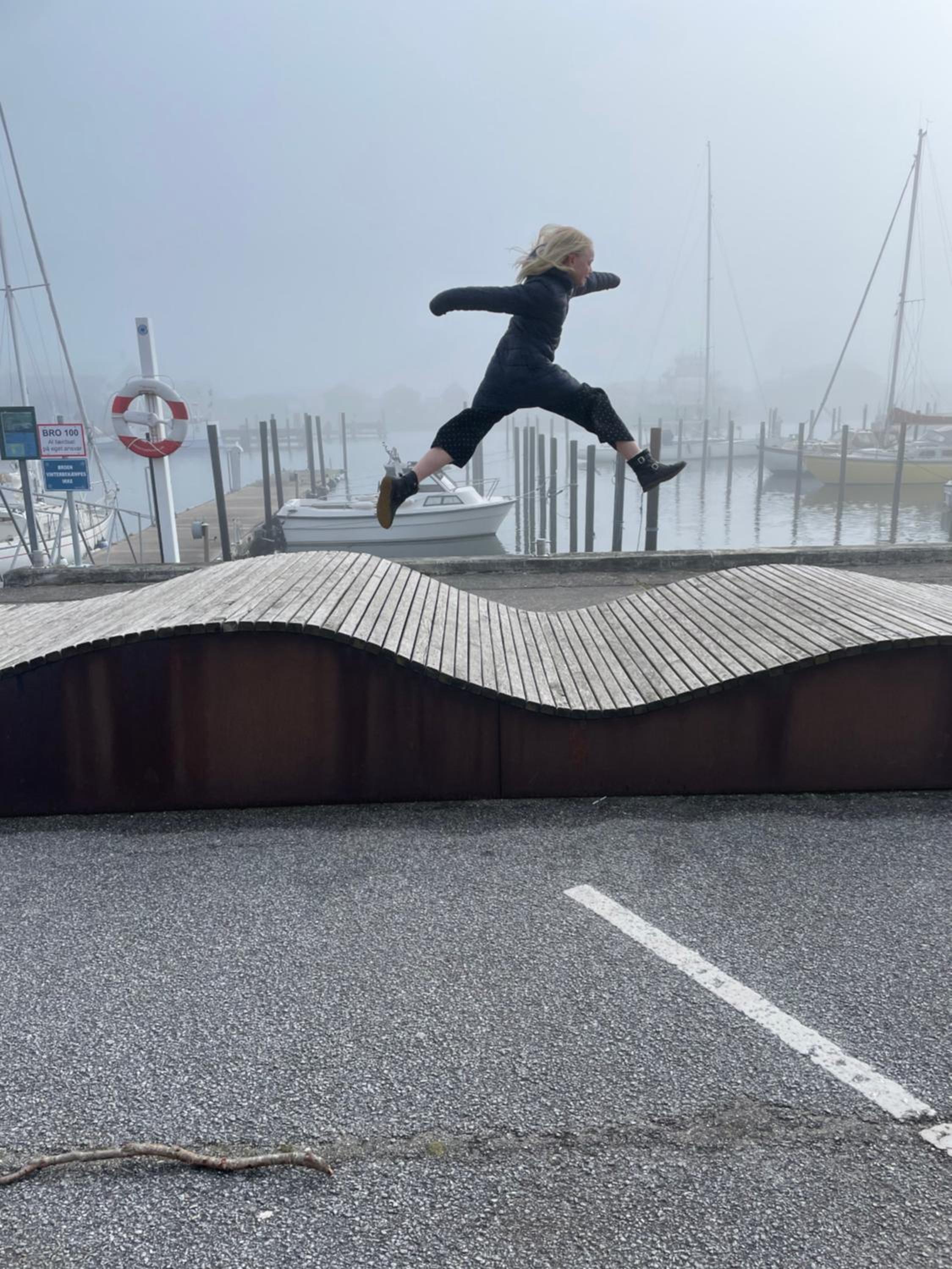 Det blågrønne Hus