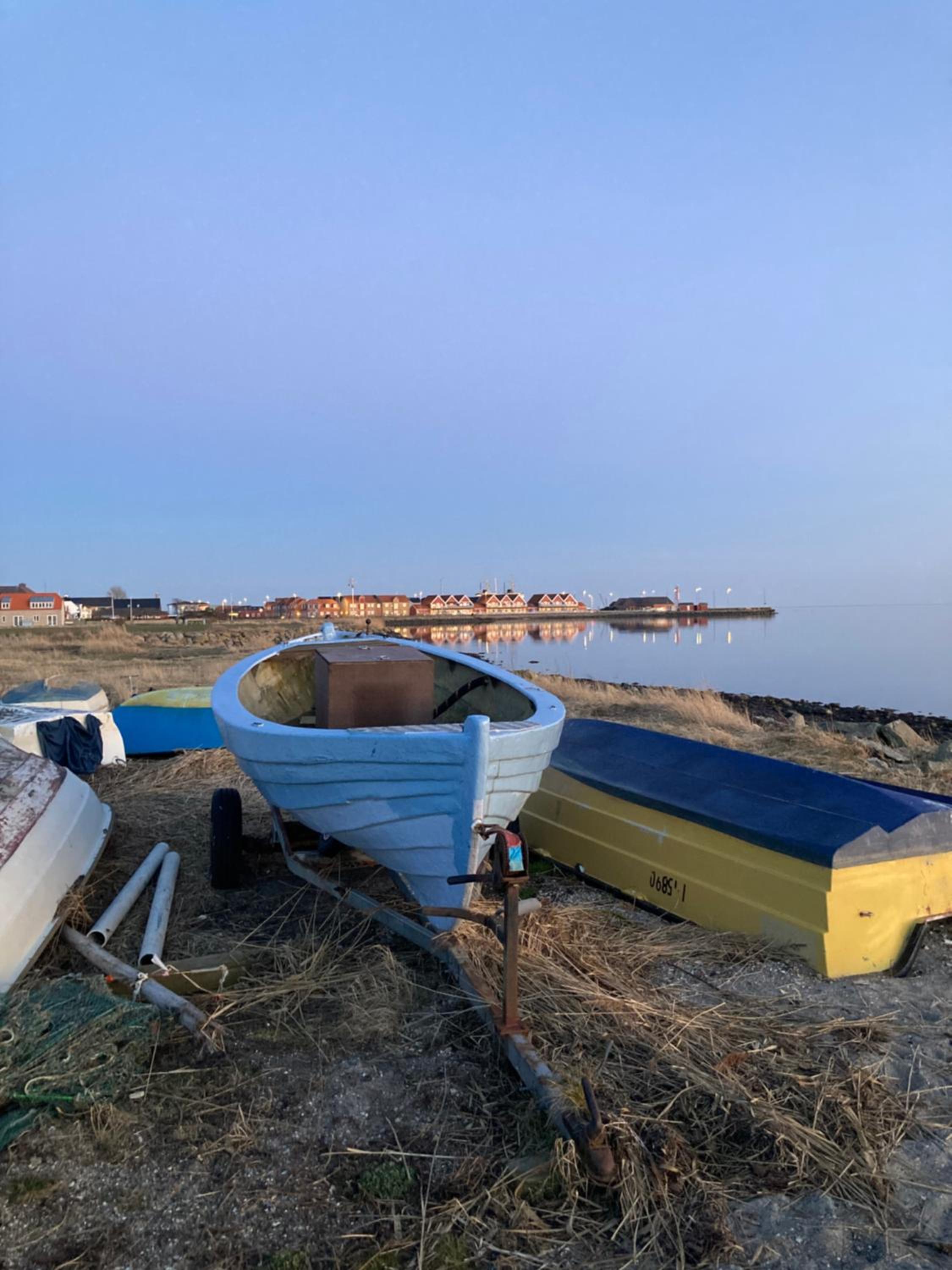 Det blågrønne Hus
