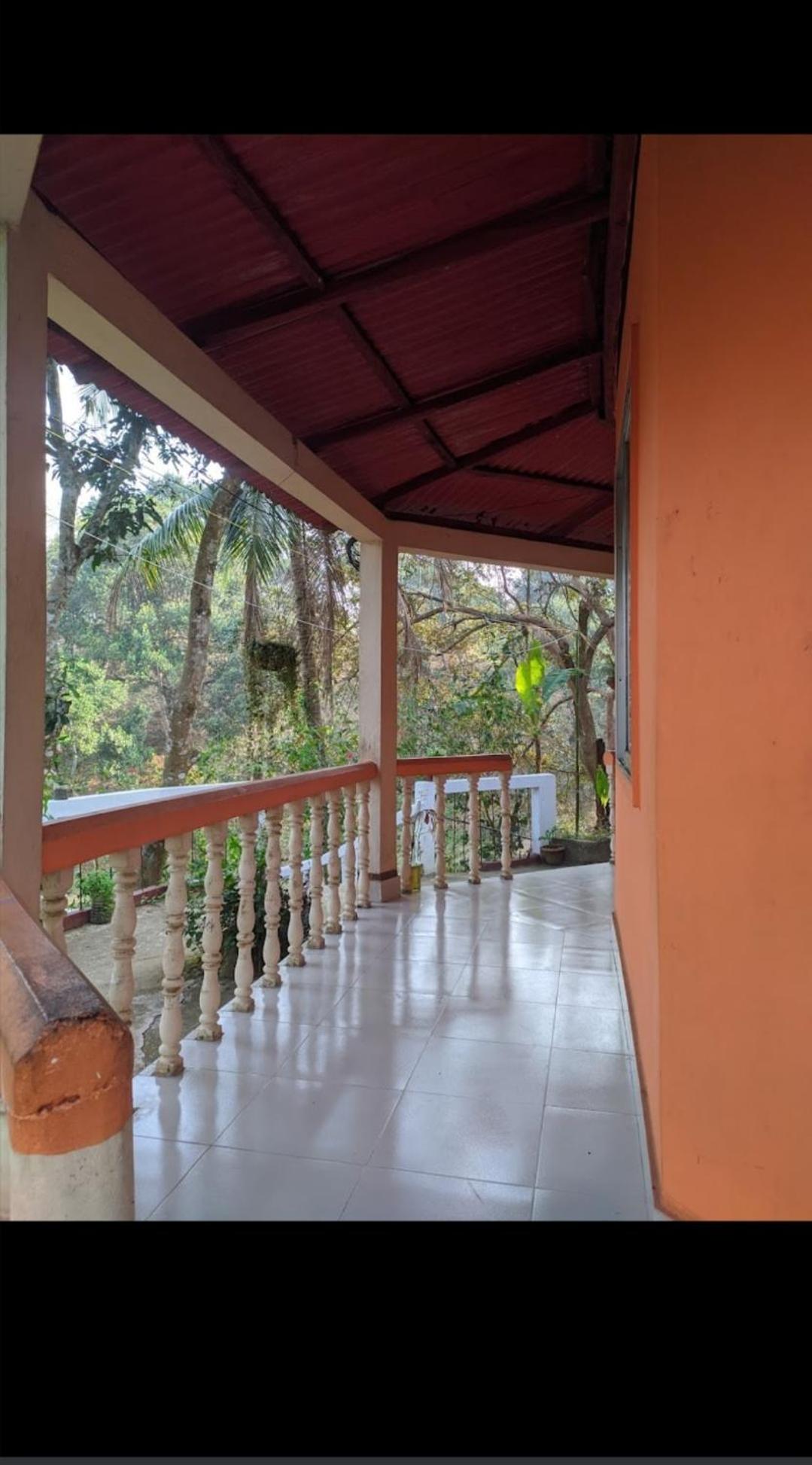 Jungle cottage