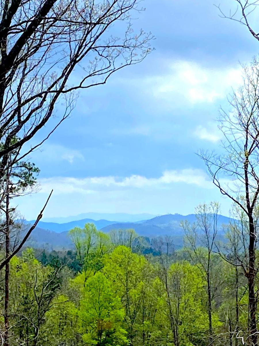 Adventure Ridge Luxury Log Cabin with Mountain View view 3