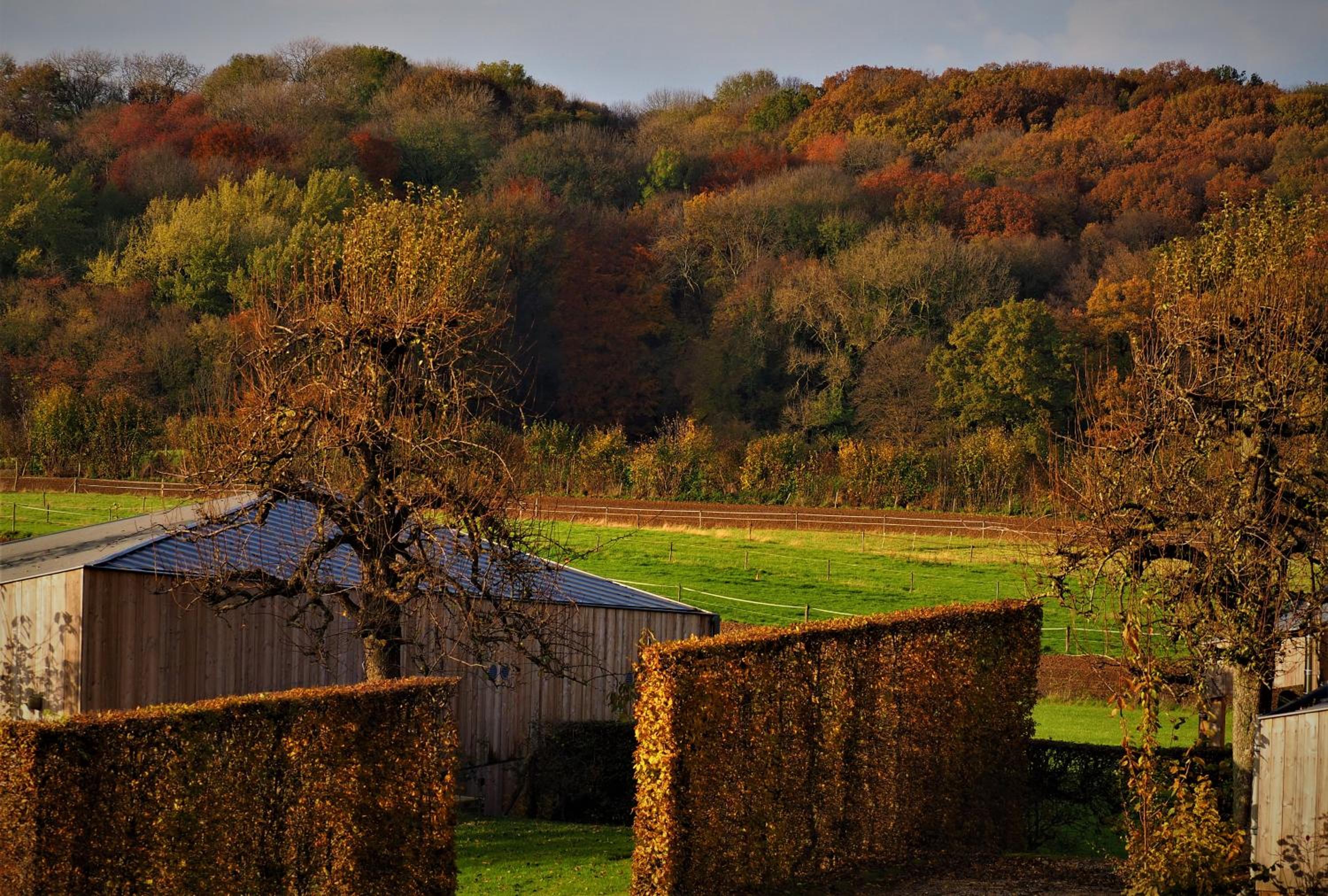 Landgoed Moerslag view 3