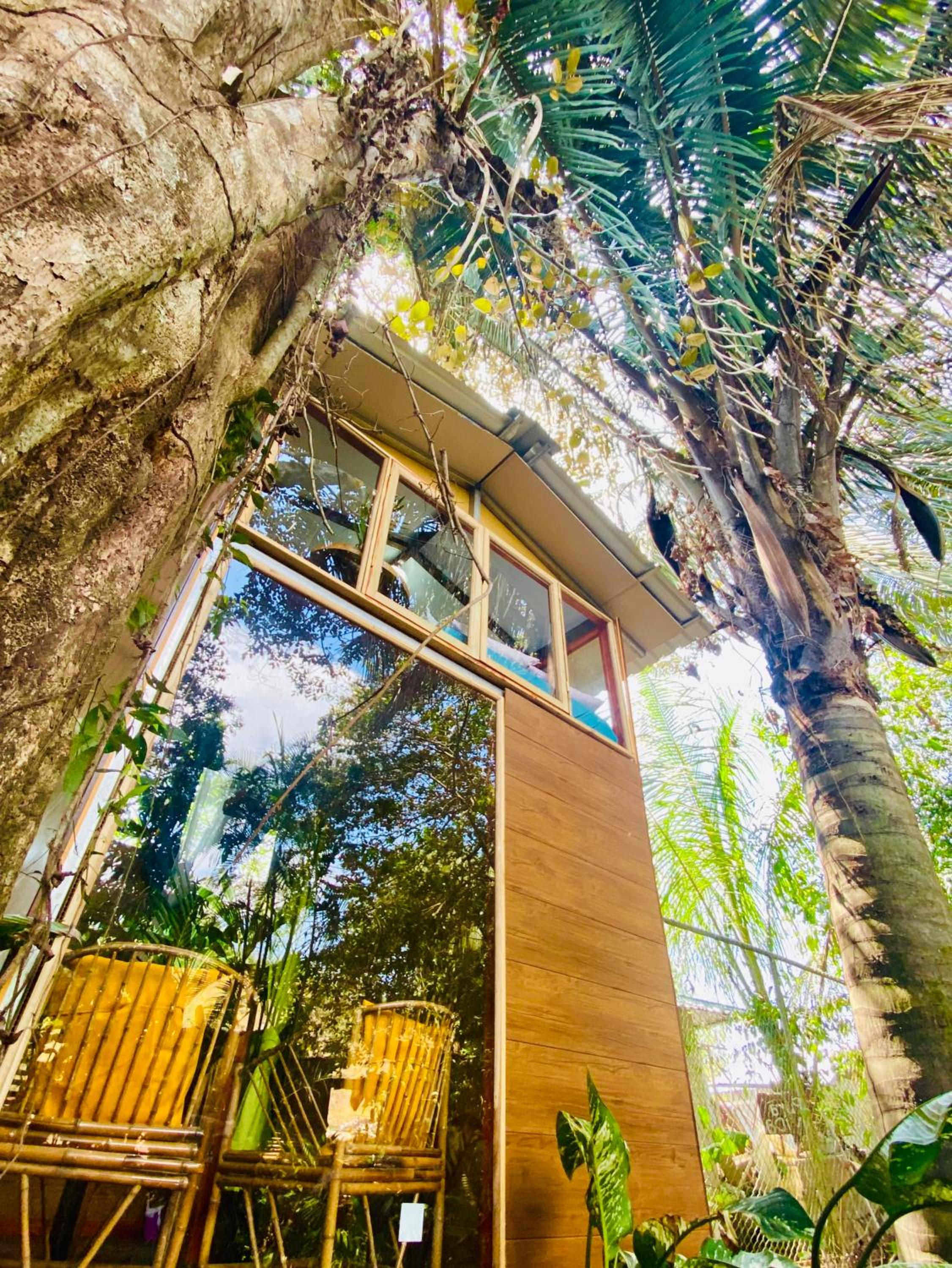 Guest House Pura Vida