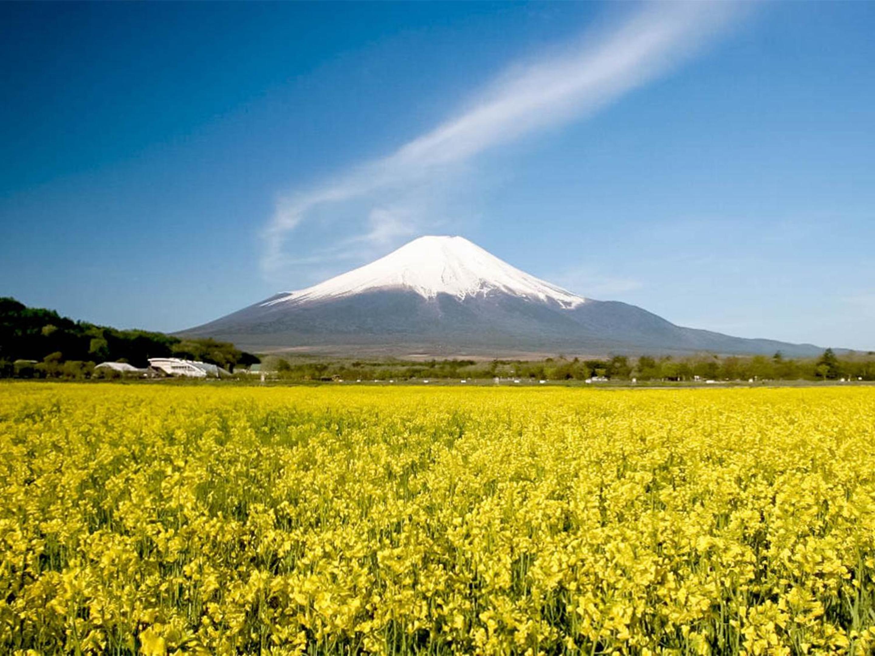 Yamanakako Pension Pause