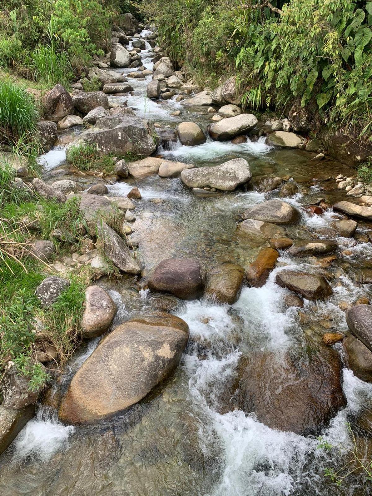 Cabaña Glamping Los Canarios San Rafael, Antioquia