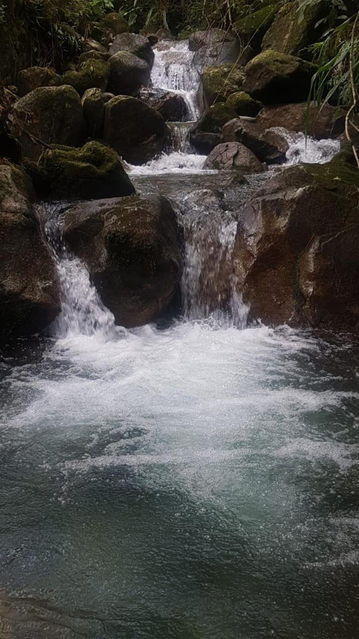 Cabaña Glamping Los Canarios San Rafael, Antioquia