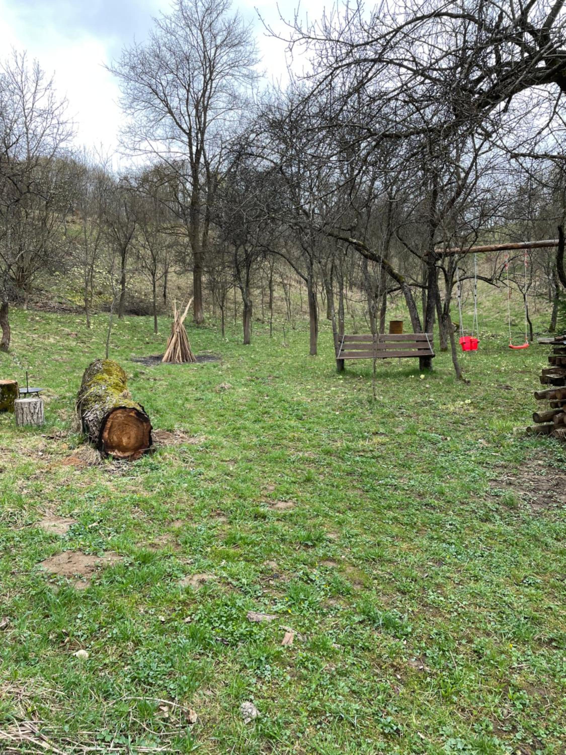 Photo 41