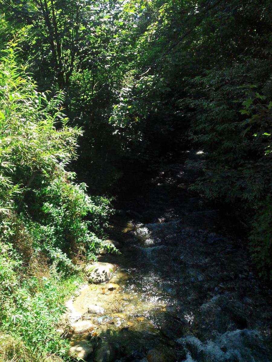 Photo 41