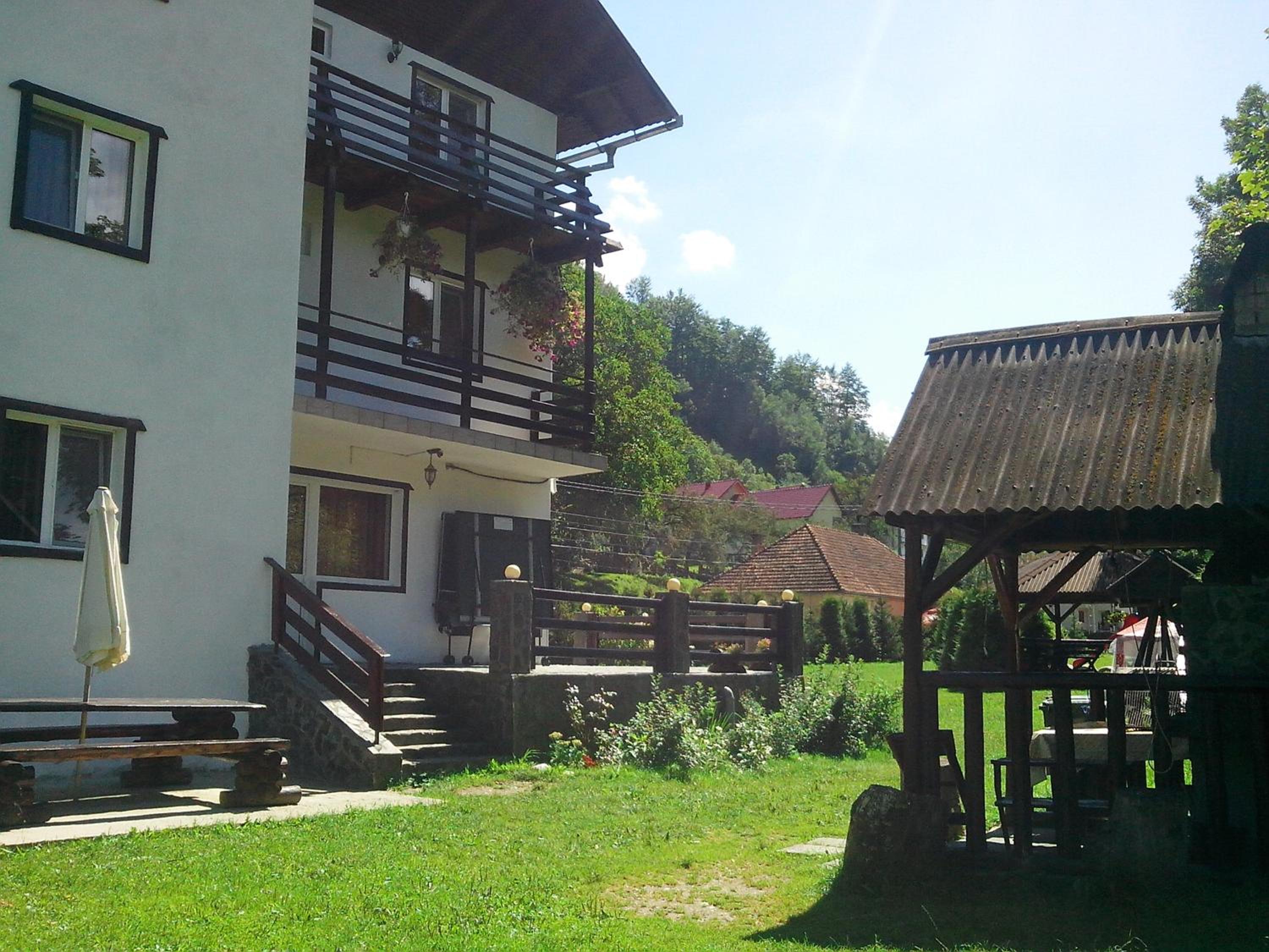 Photo 44