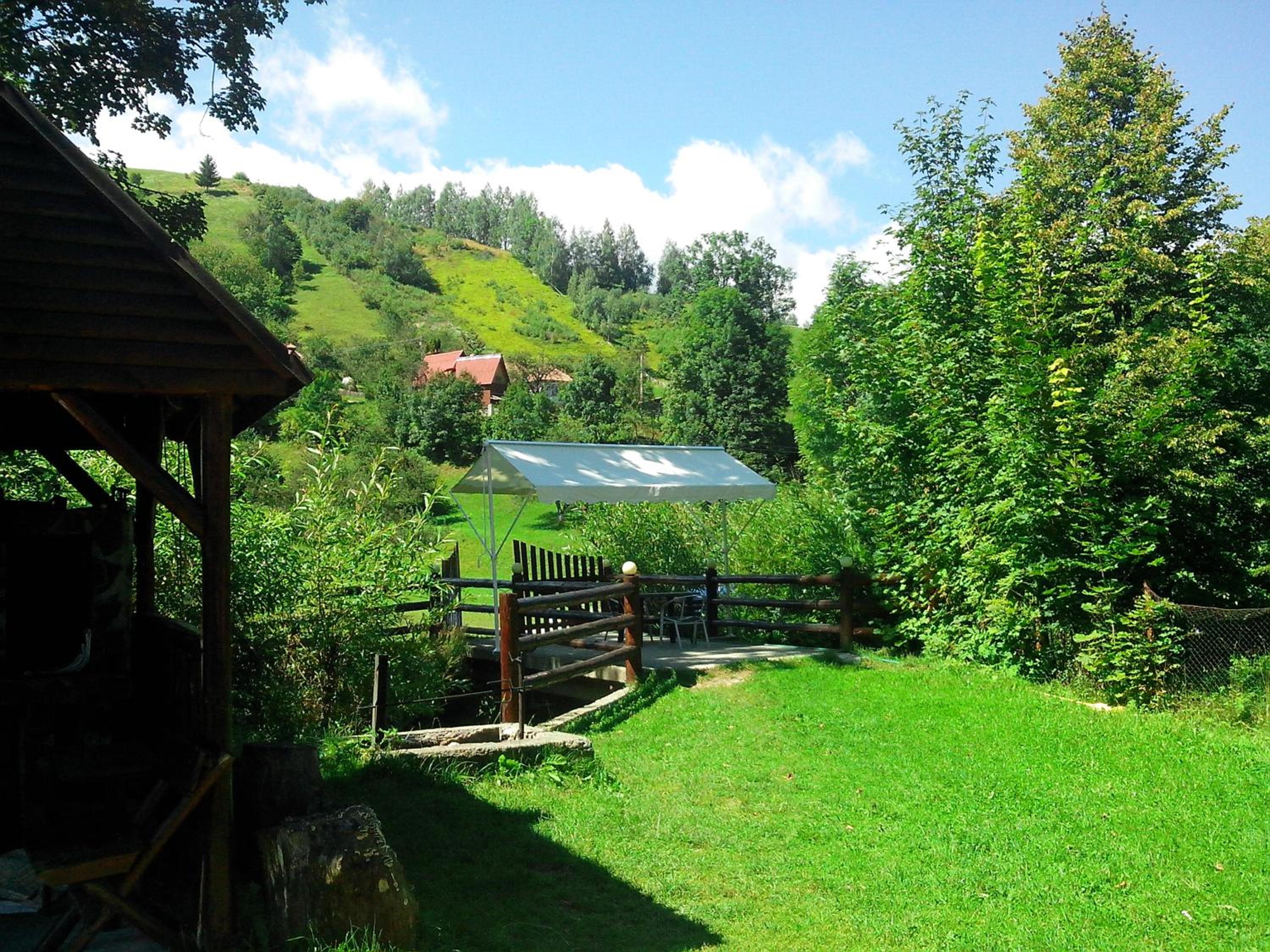 Vila Doina Branului view 5