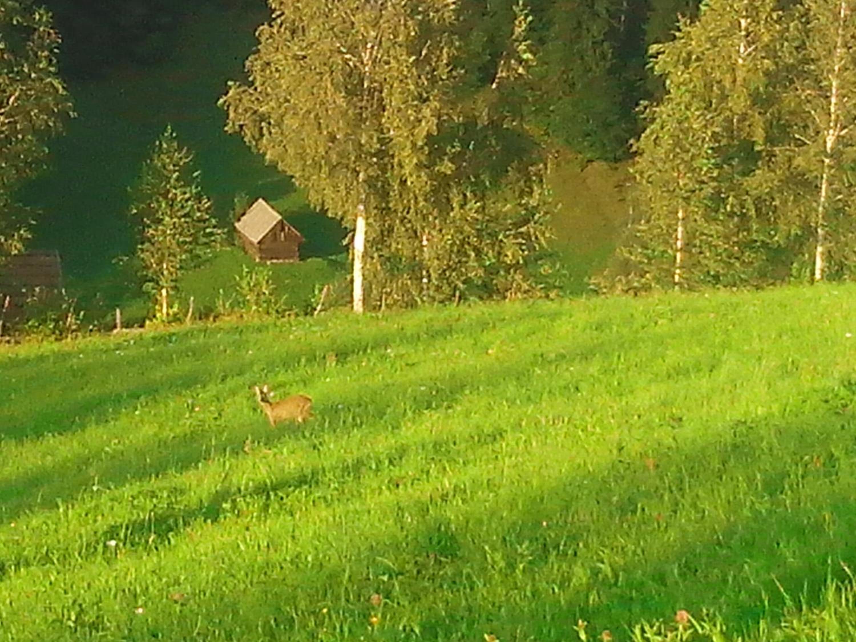 Photo 140