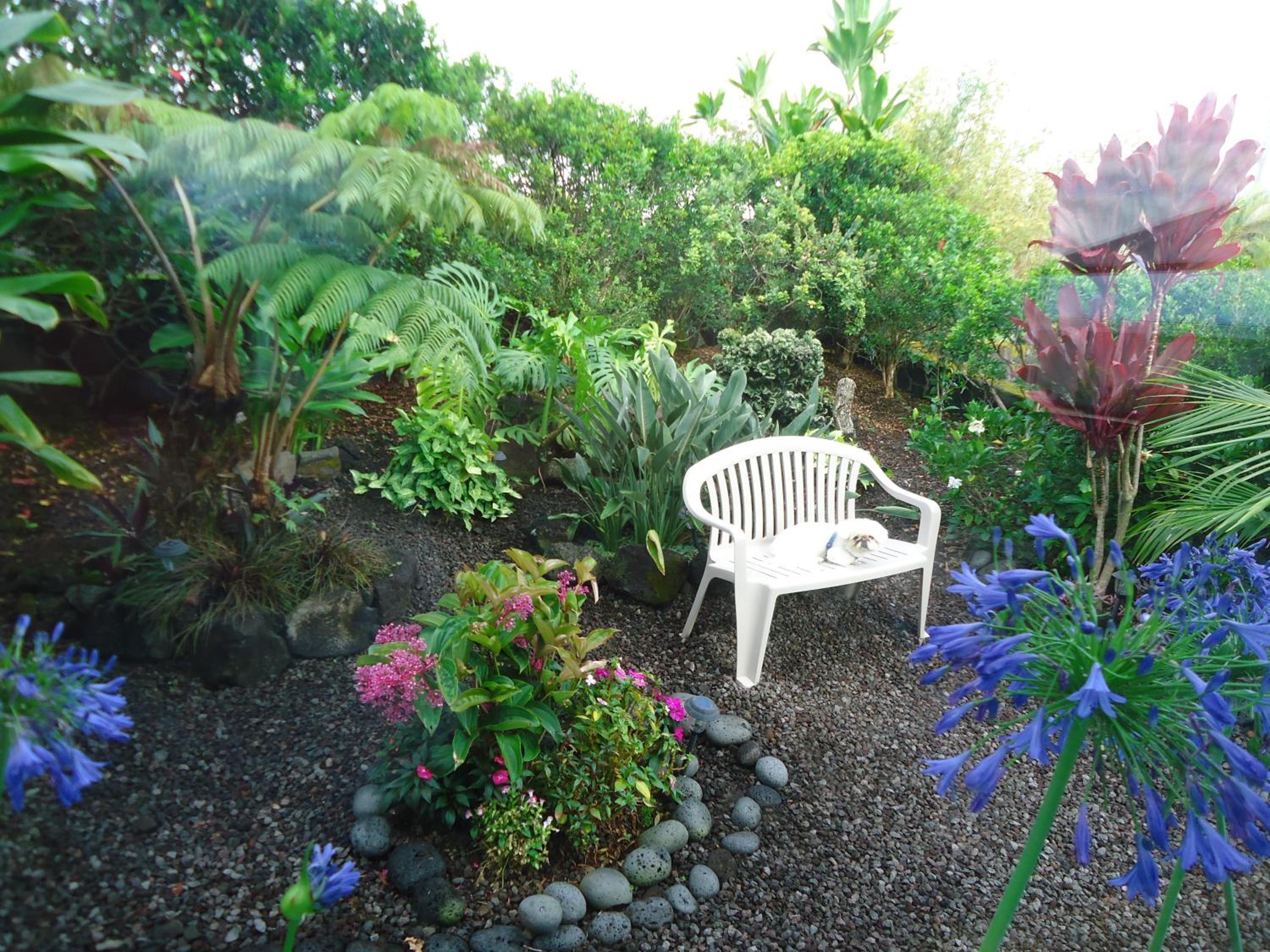 GUEST HOUSE IN HILO