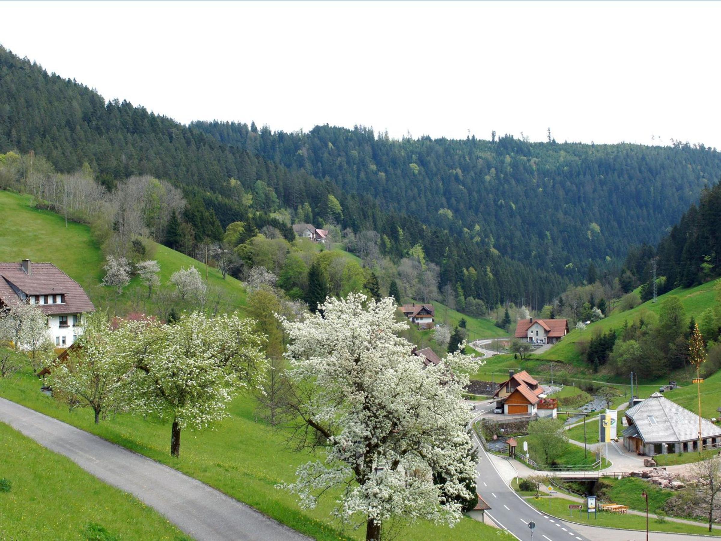 Landpension Am Sommerhang