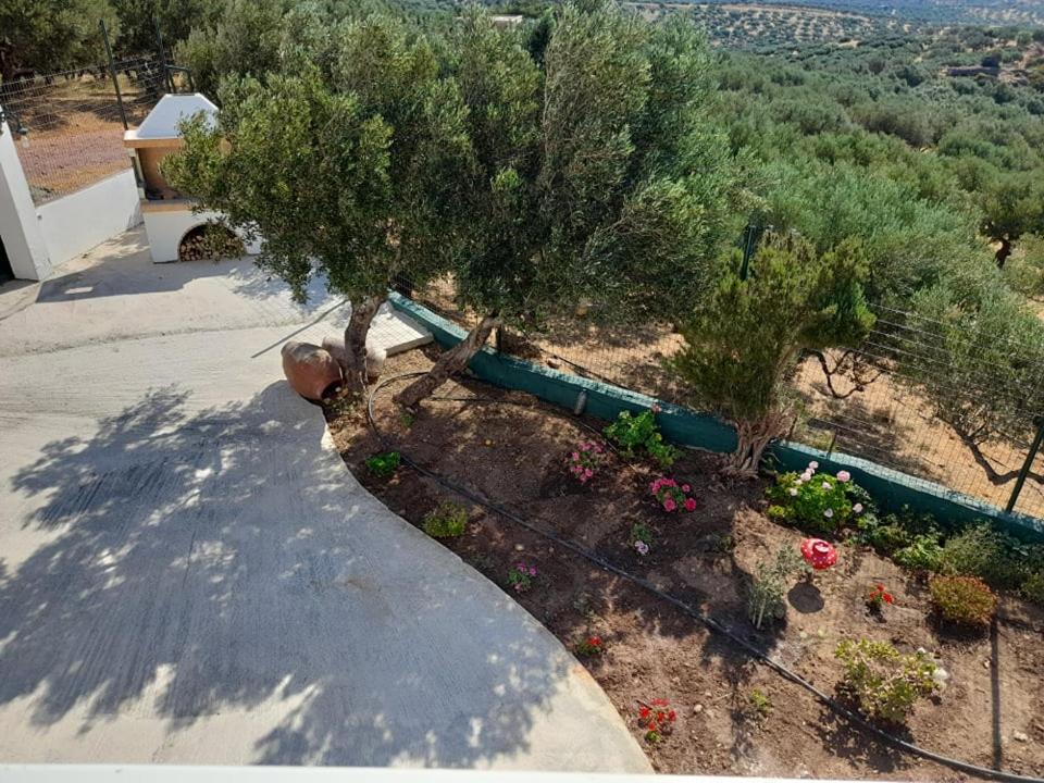 Villa Helen's Olive Garden view 4