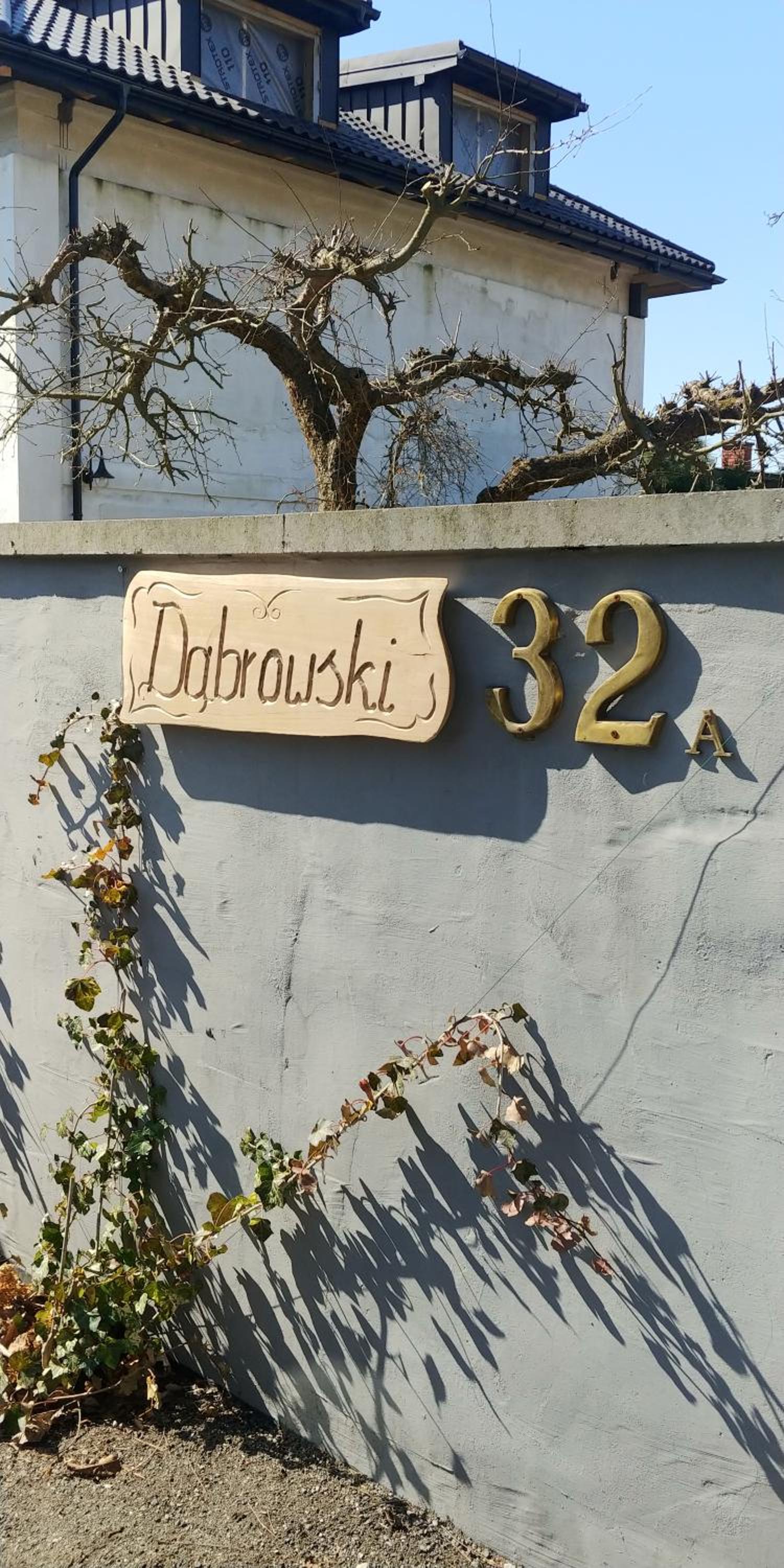 Dąbrowski view 5