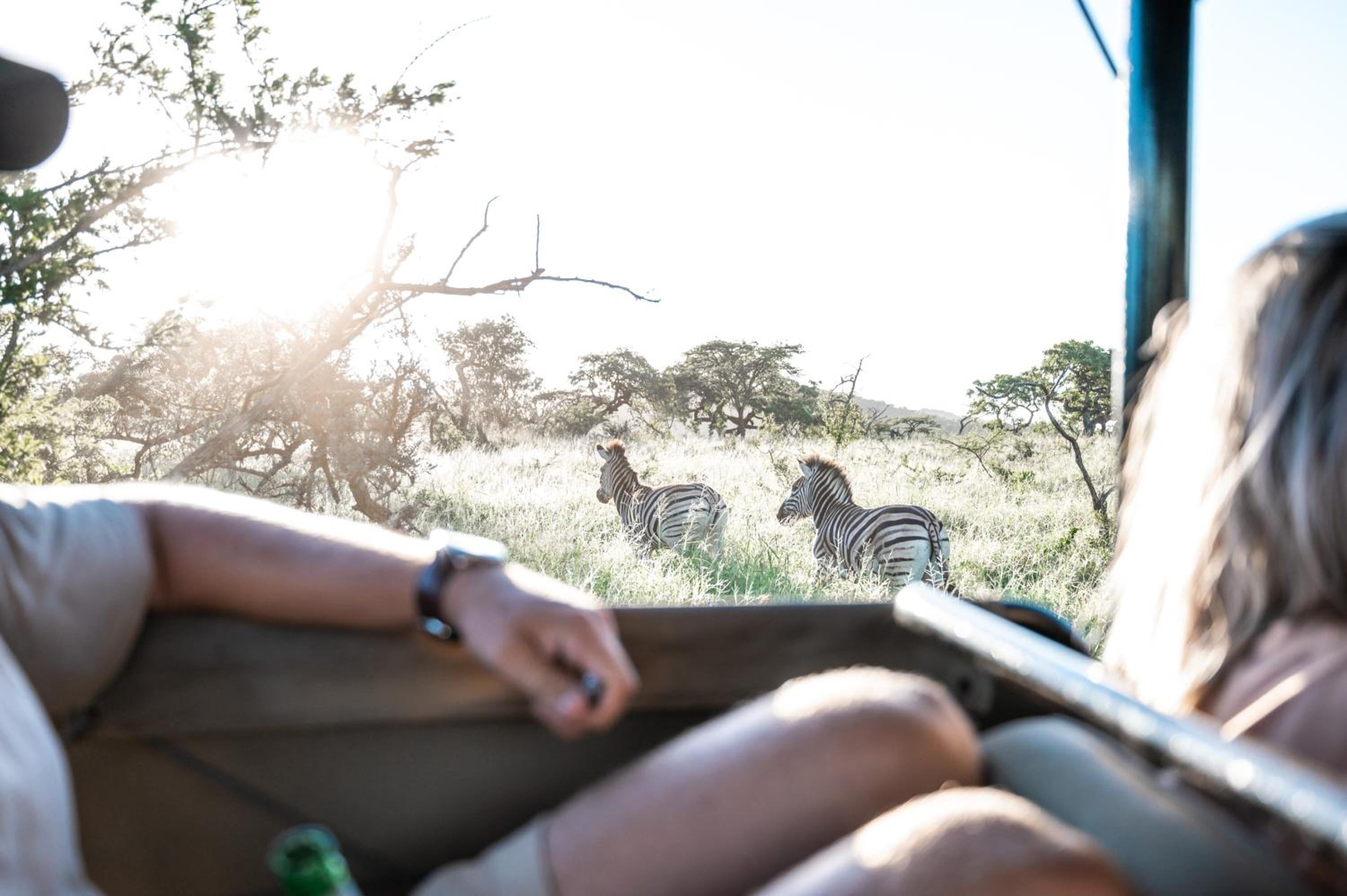 Hluhluwe Vacations - Duiker Game Lodge - Property Image 5