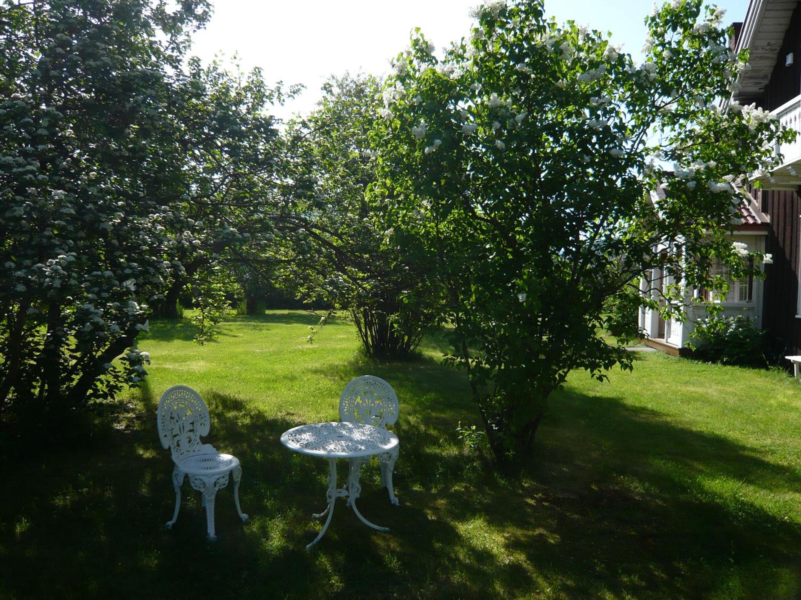 Photo 7