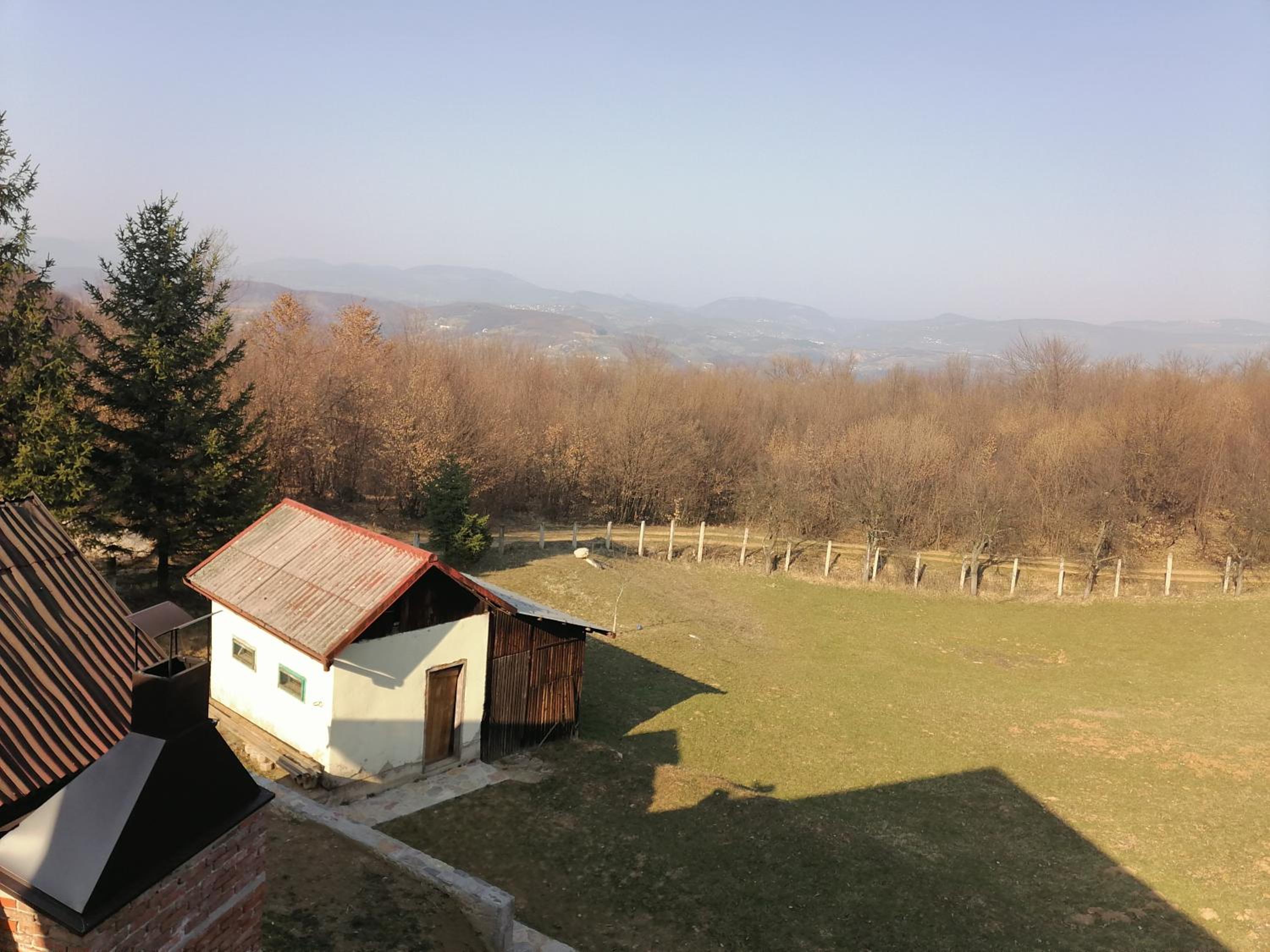 Zuta Kuca Sunca