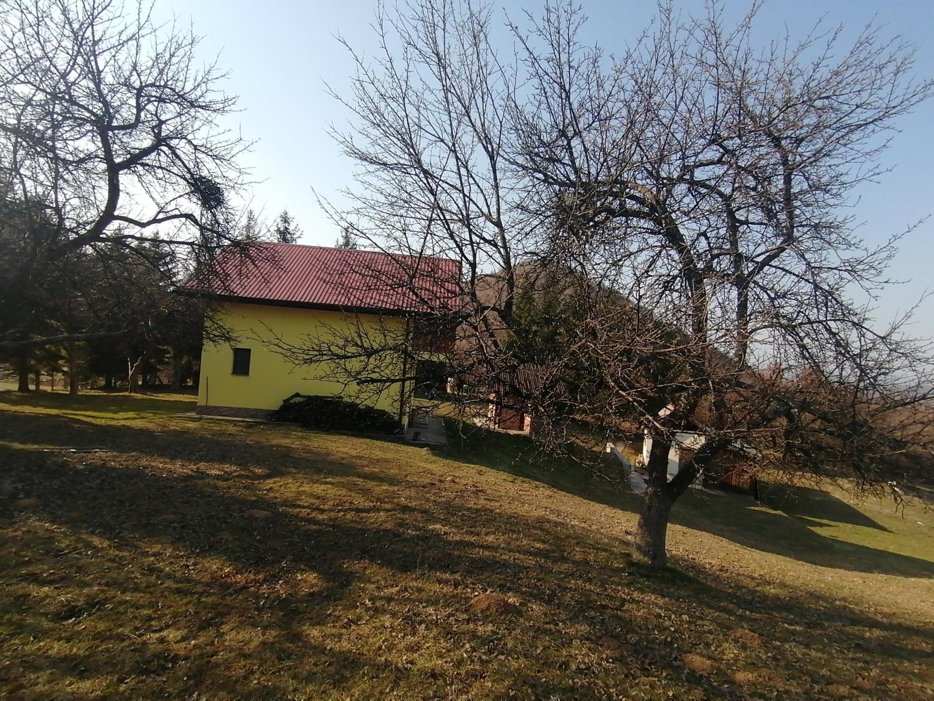 Zuta Kuca Sunca