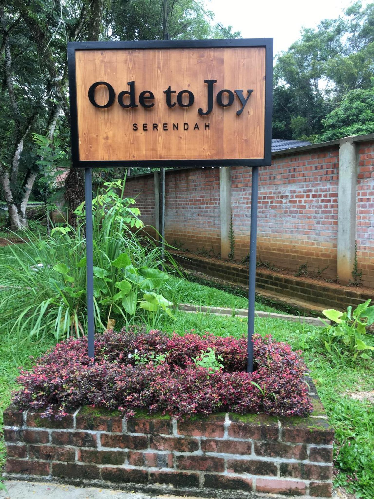 Ode to Joy view 2