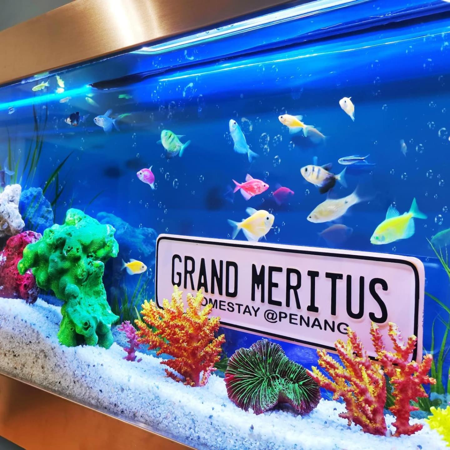 Grand Meritus Homestay @Penang photo 3