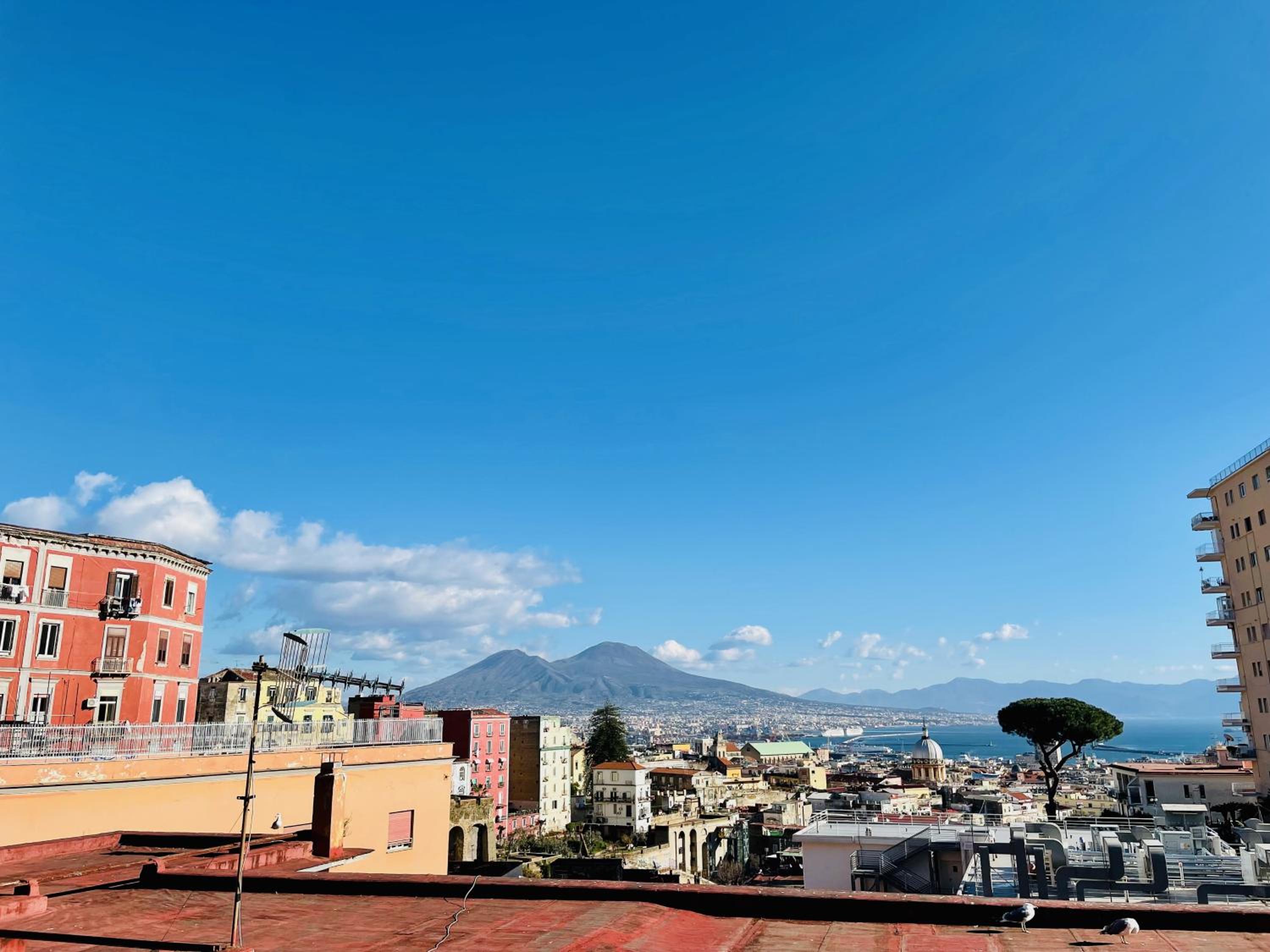 Vertical Naples&dreams catcher