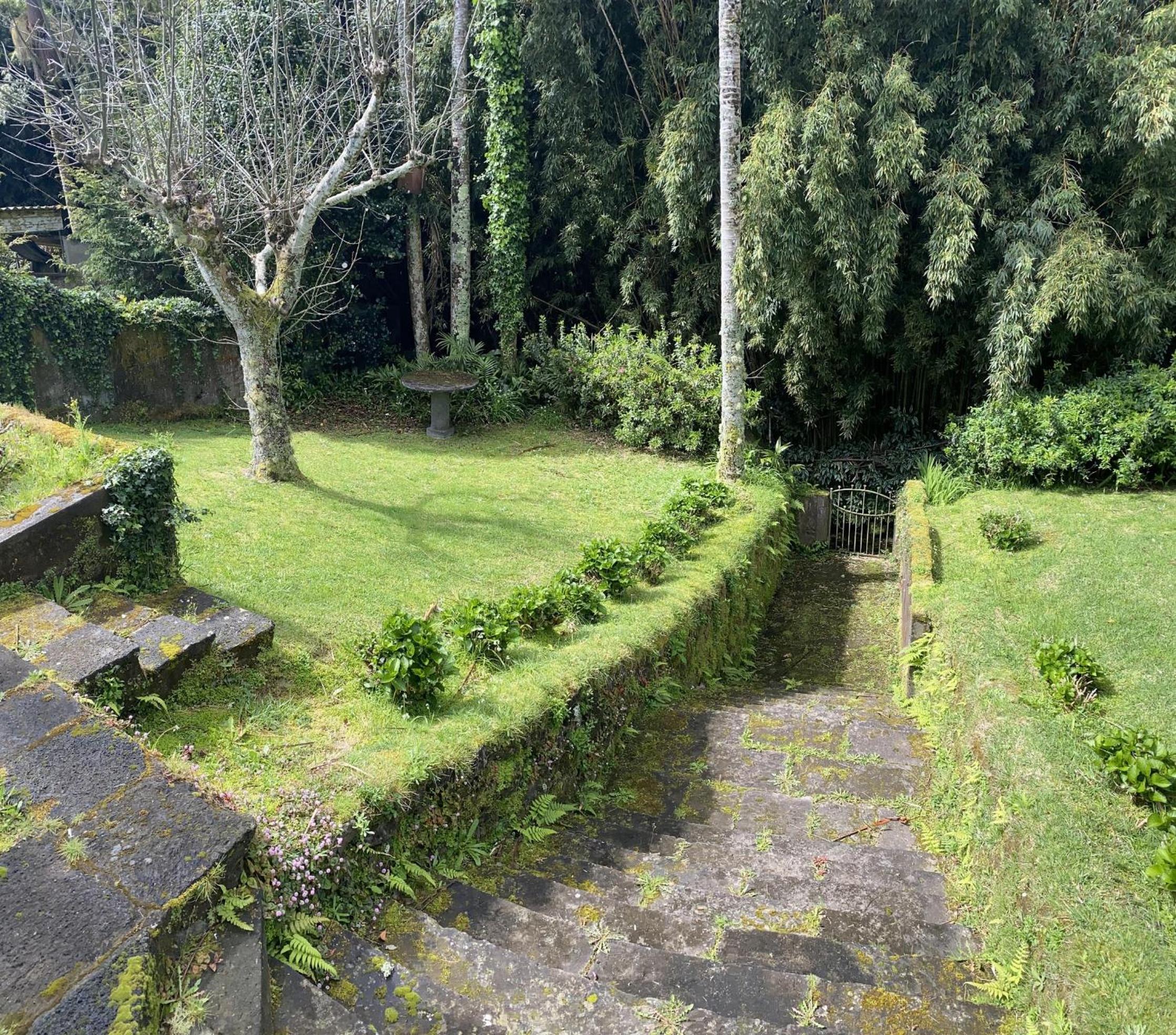 Photo 33