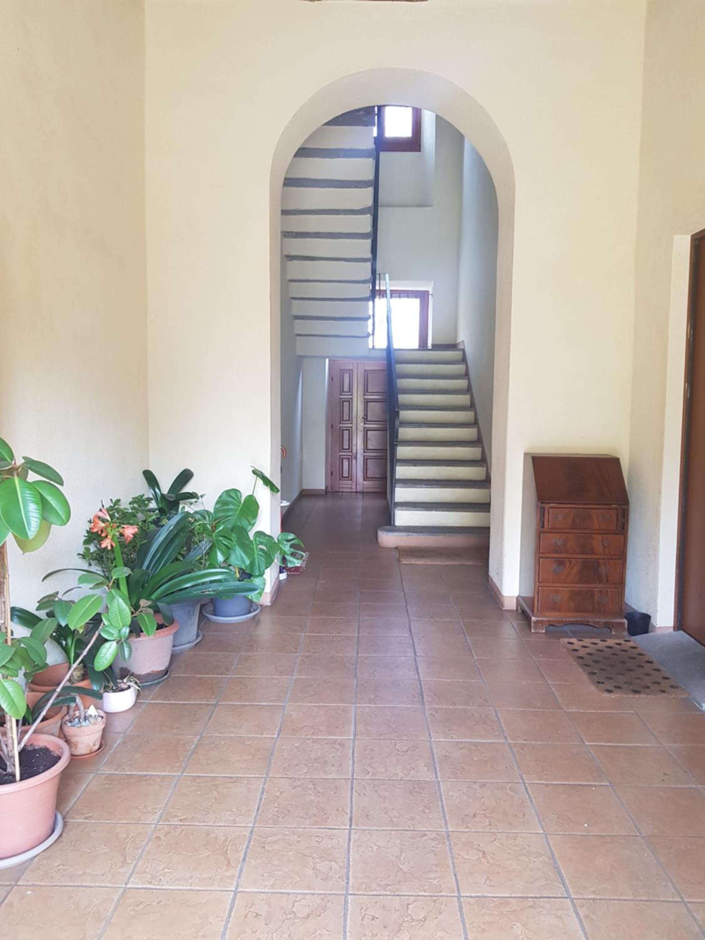 Il Gelsomino view 5