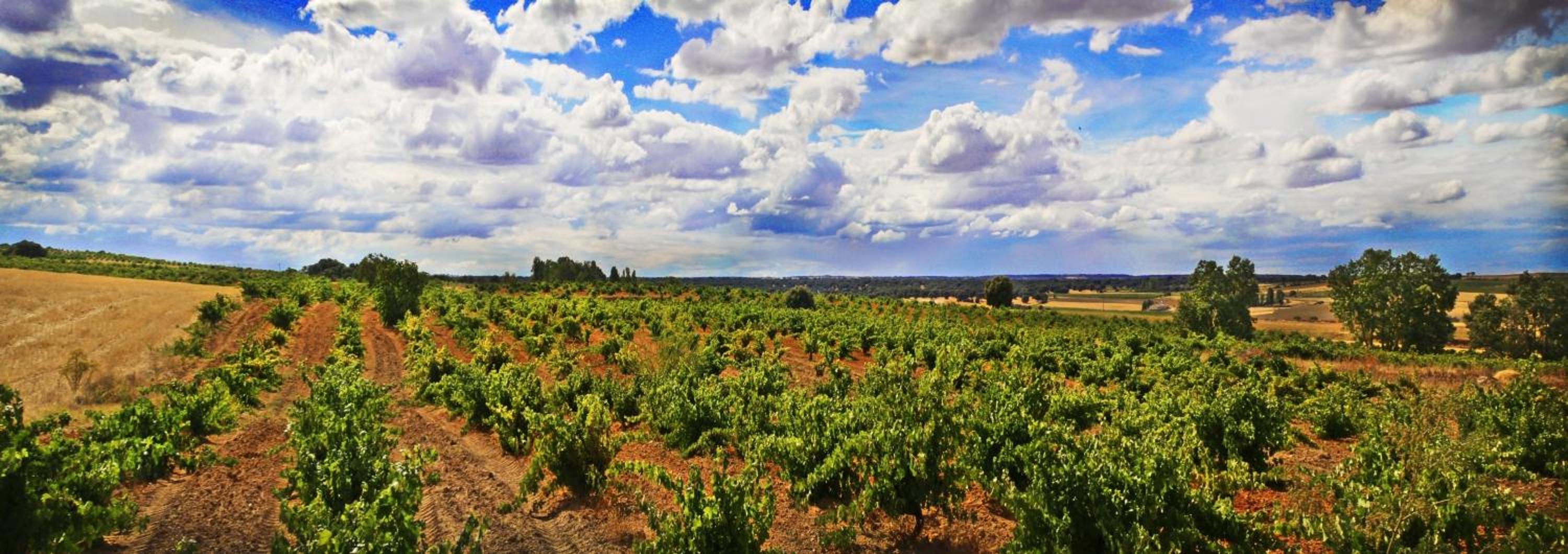 Posada Real del Buen Camino, alojamiento rural