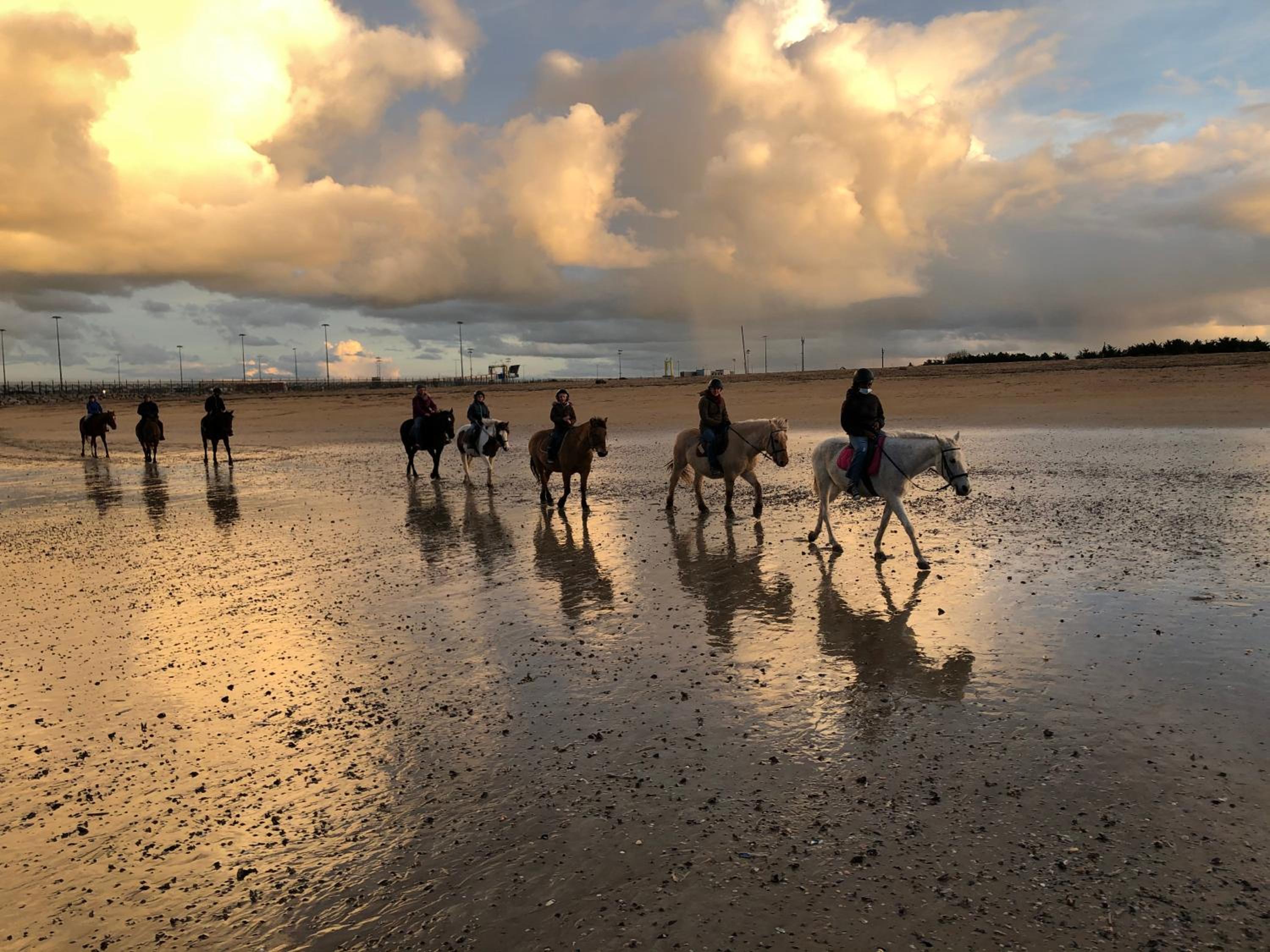 La plage au bout du jardin / Sword Beach cottage